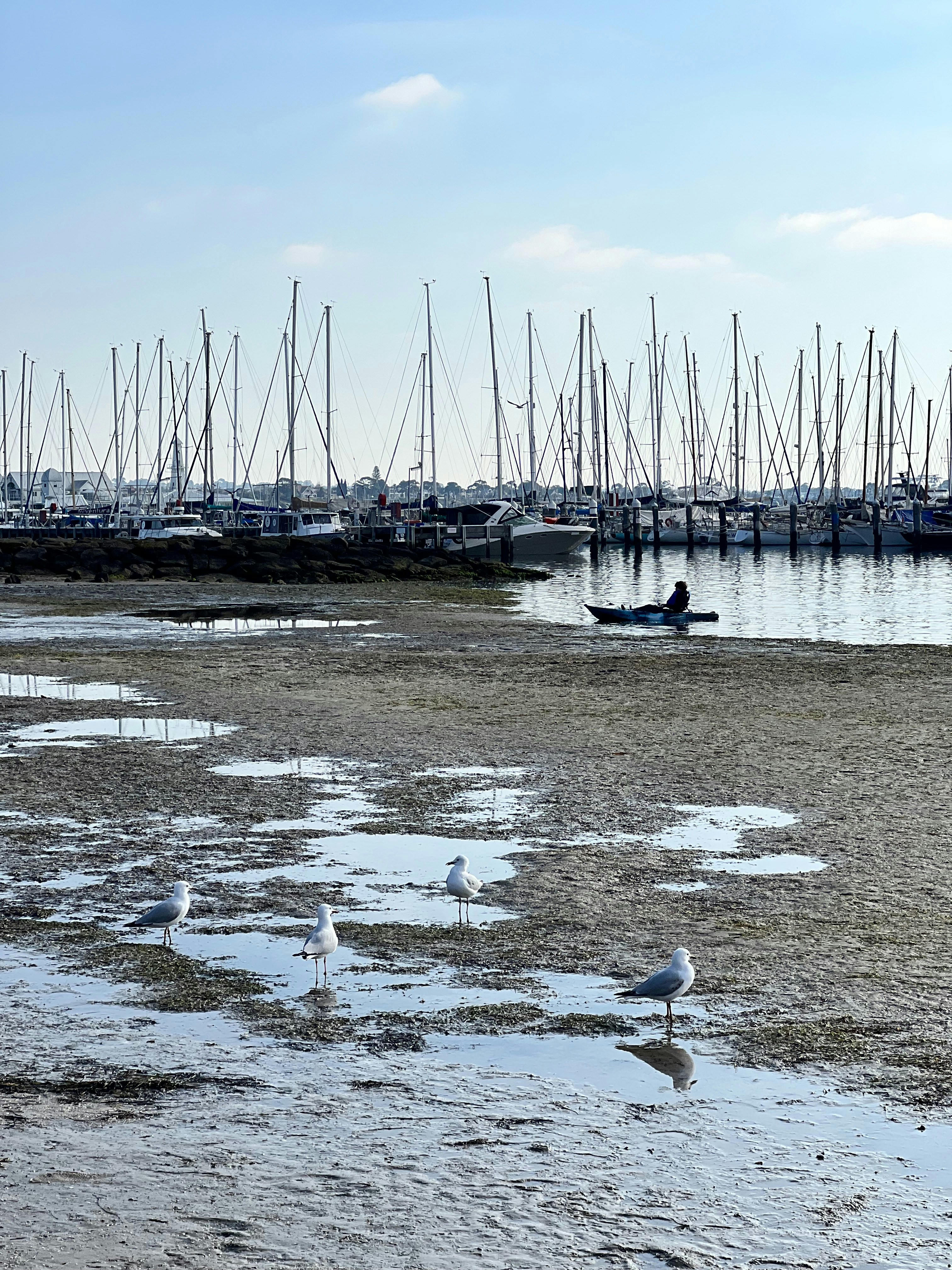 Photo by leezhengyuan