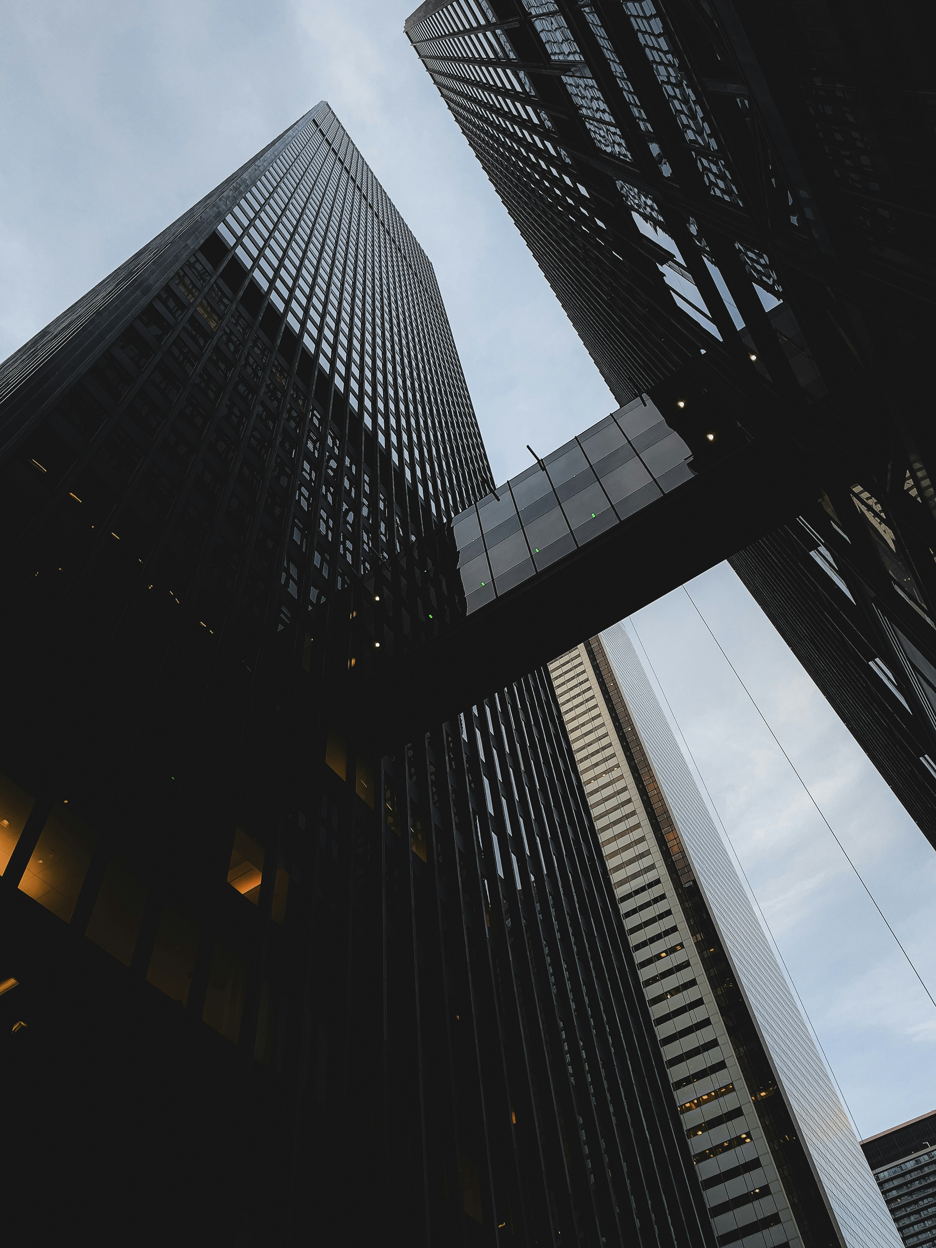 Photo by allenboguslavsky