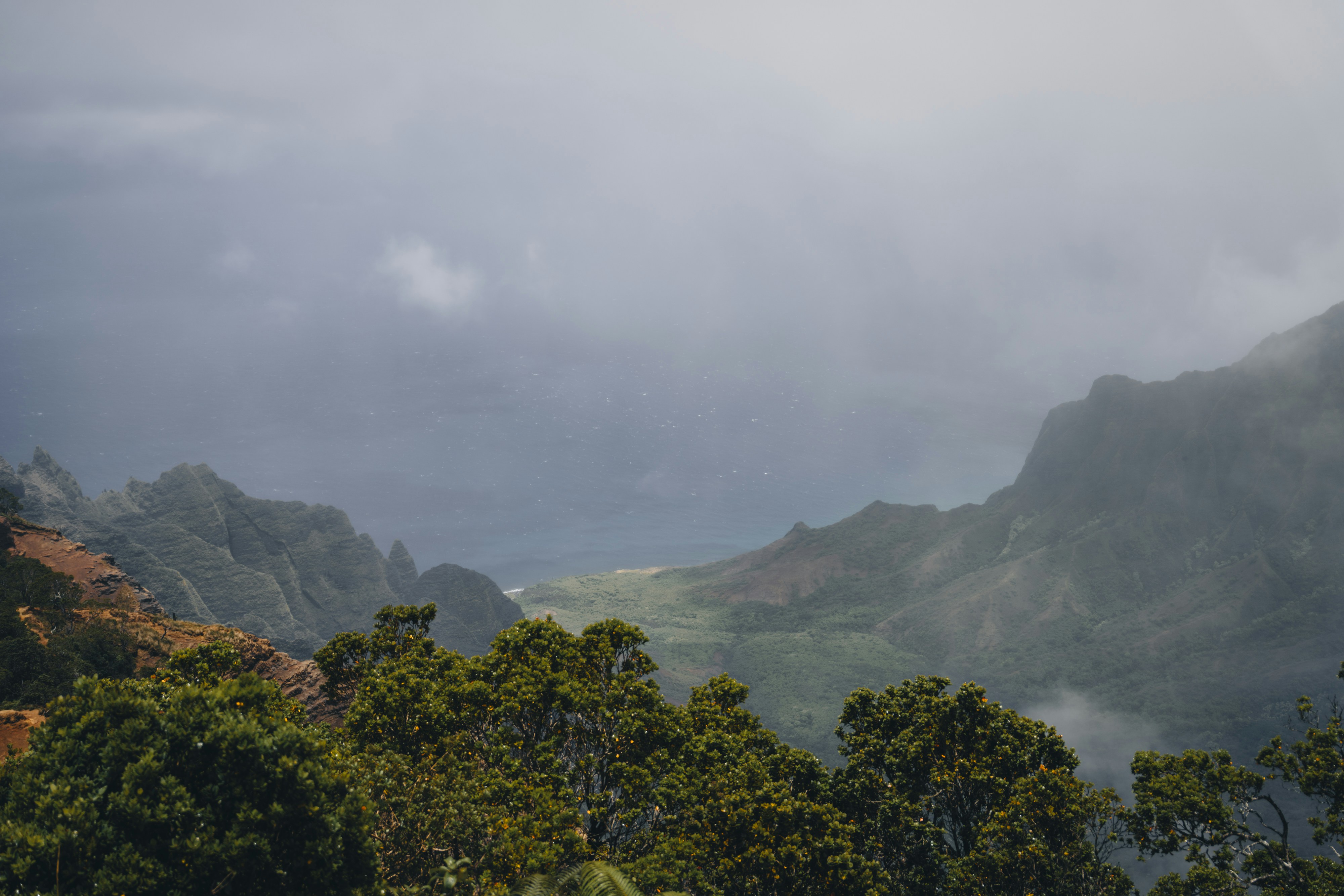 Photo by lifeof_peter_