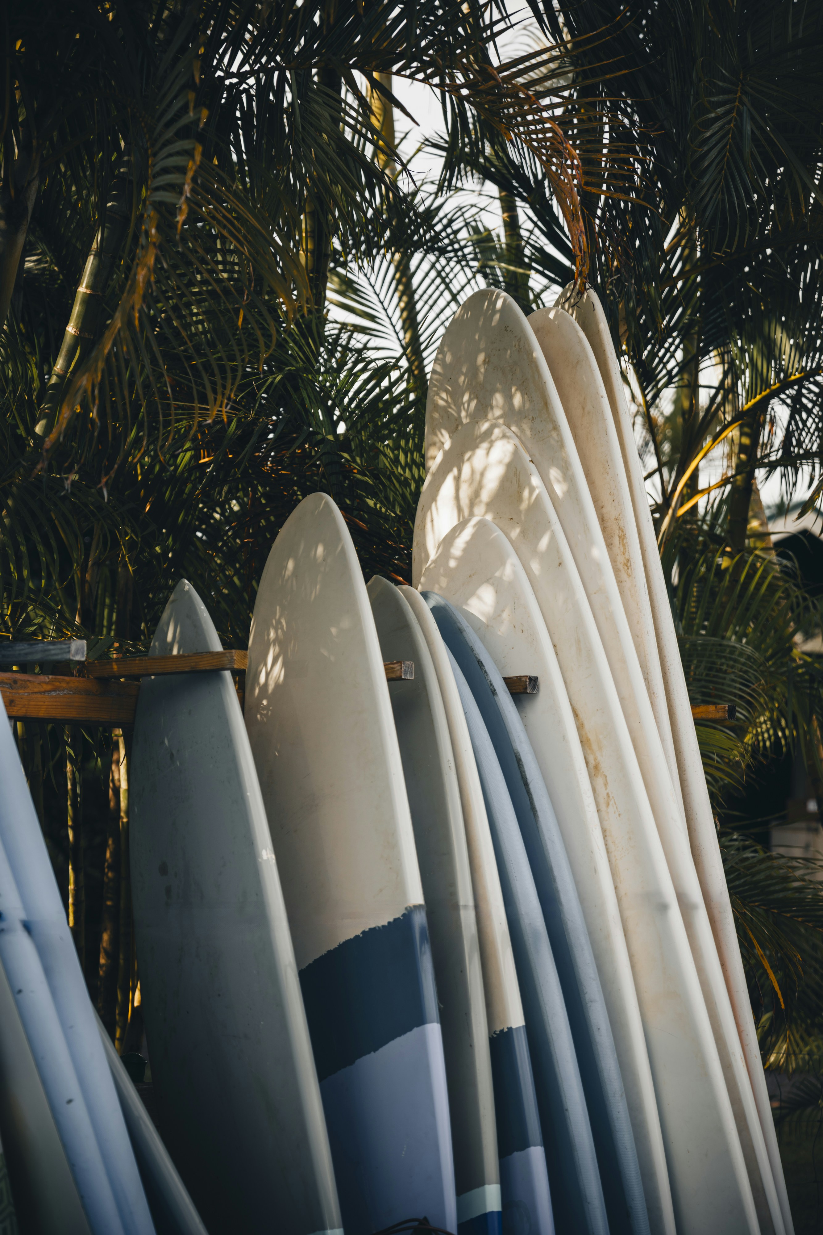 Graph showing projected trends in electric surfboard pricing