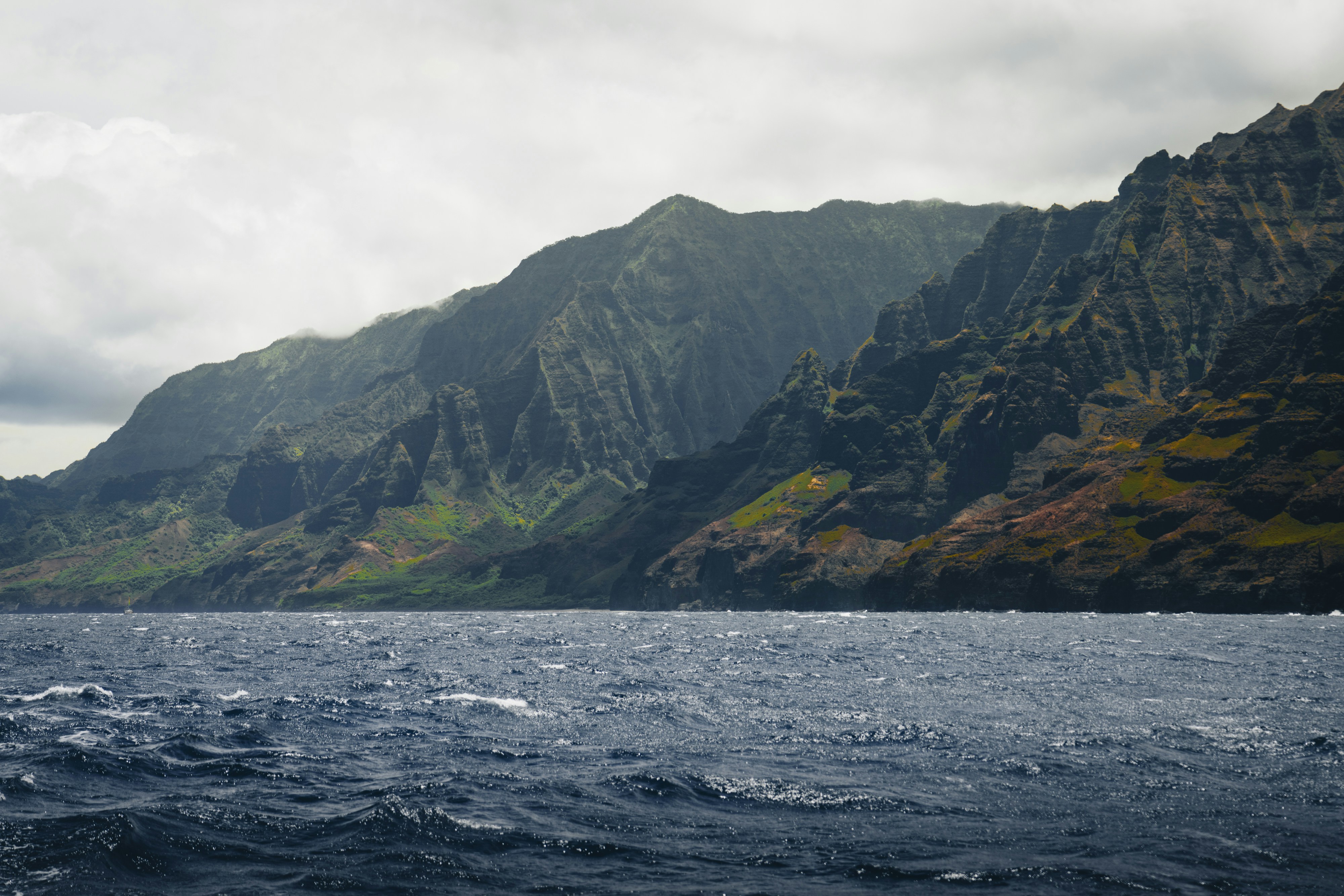 Photo by lifeof_peter_