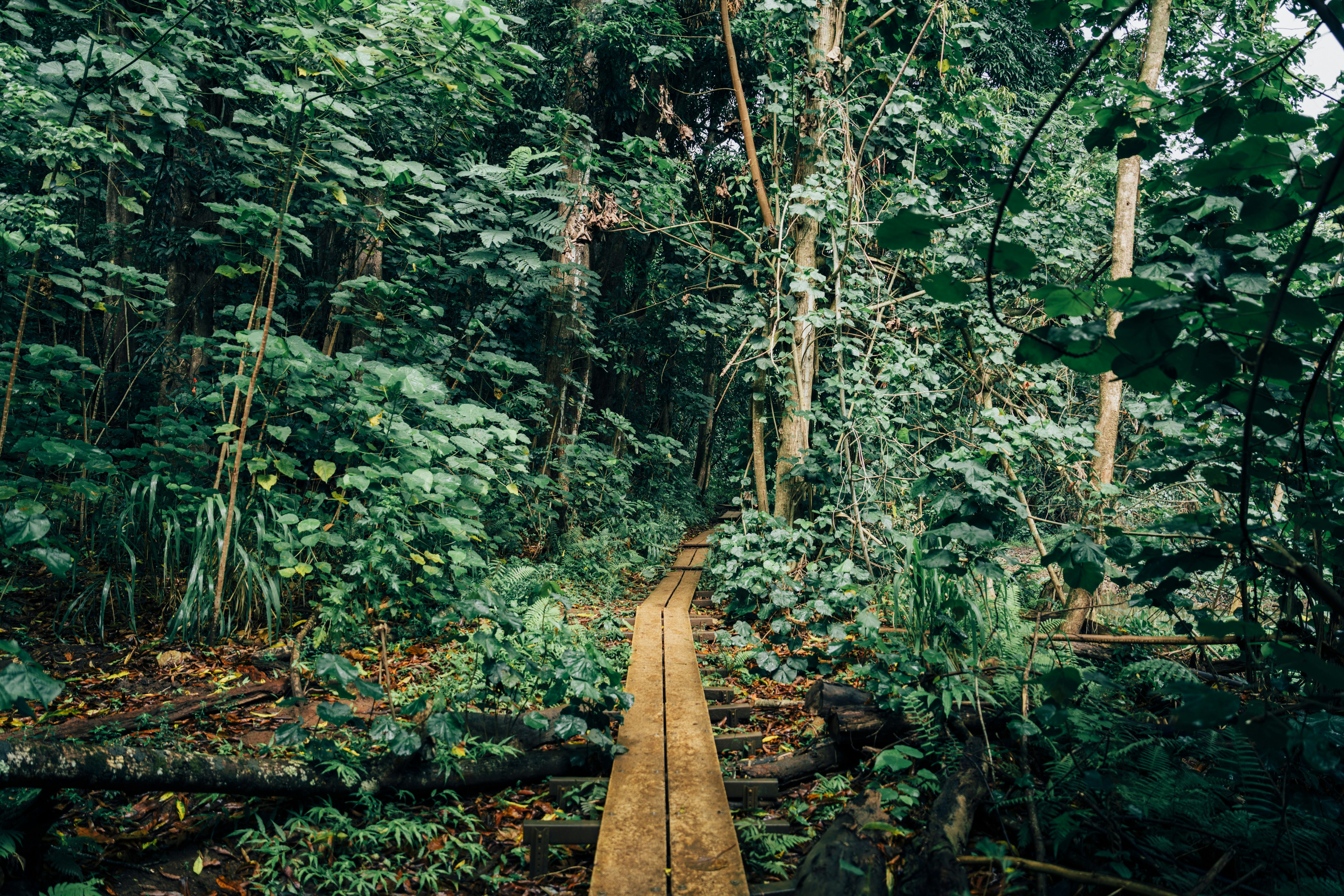 Photo by lifeof_peter_