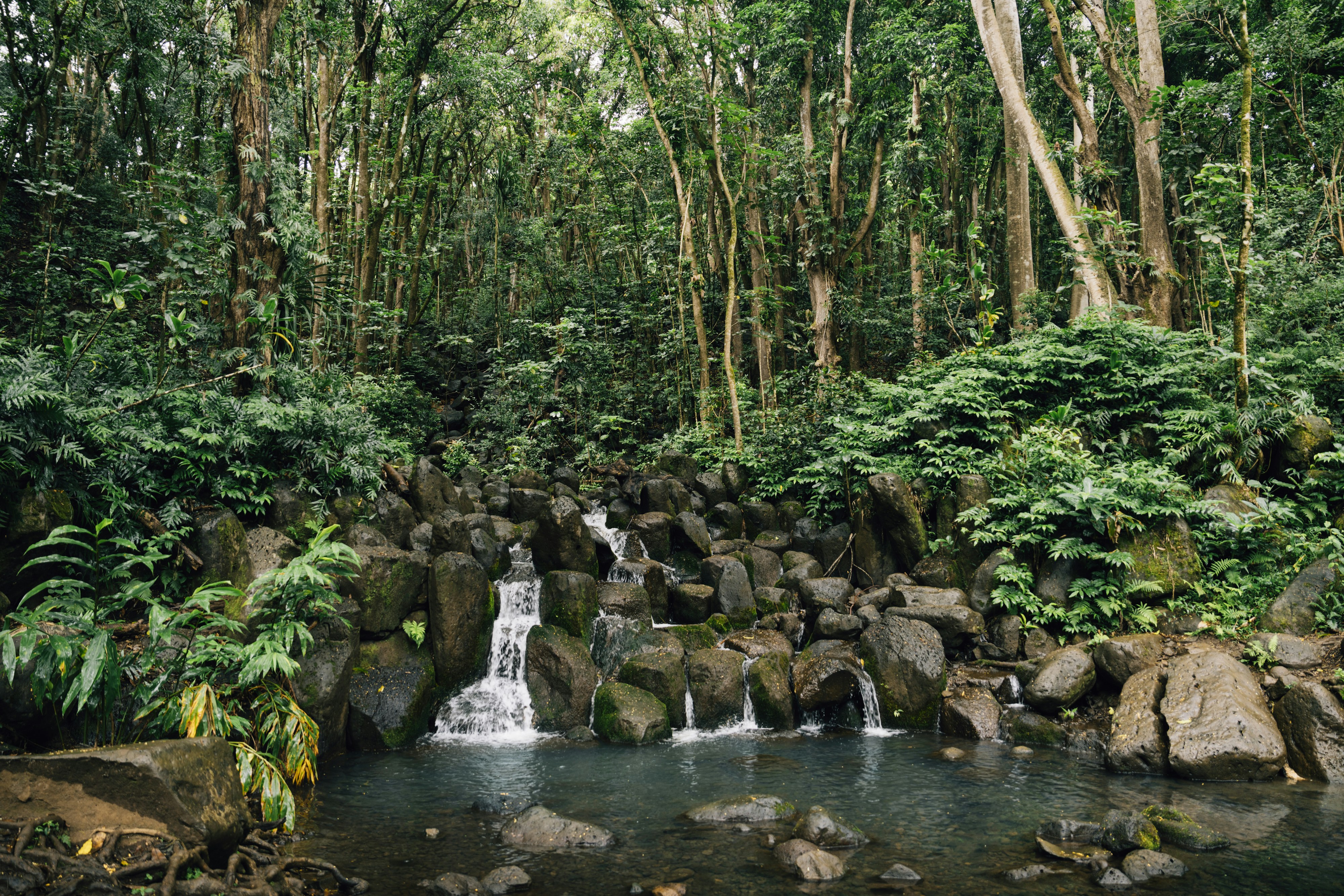 Photo by lifeof_peter_