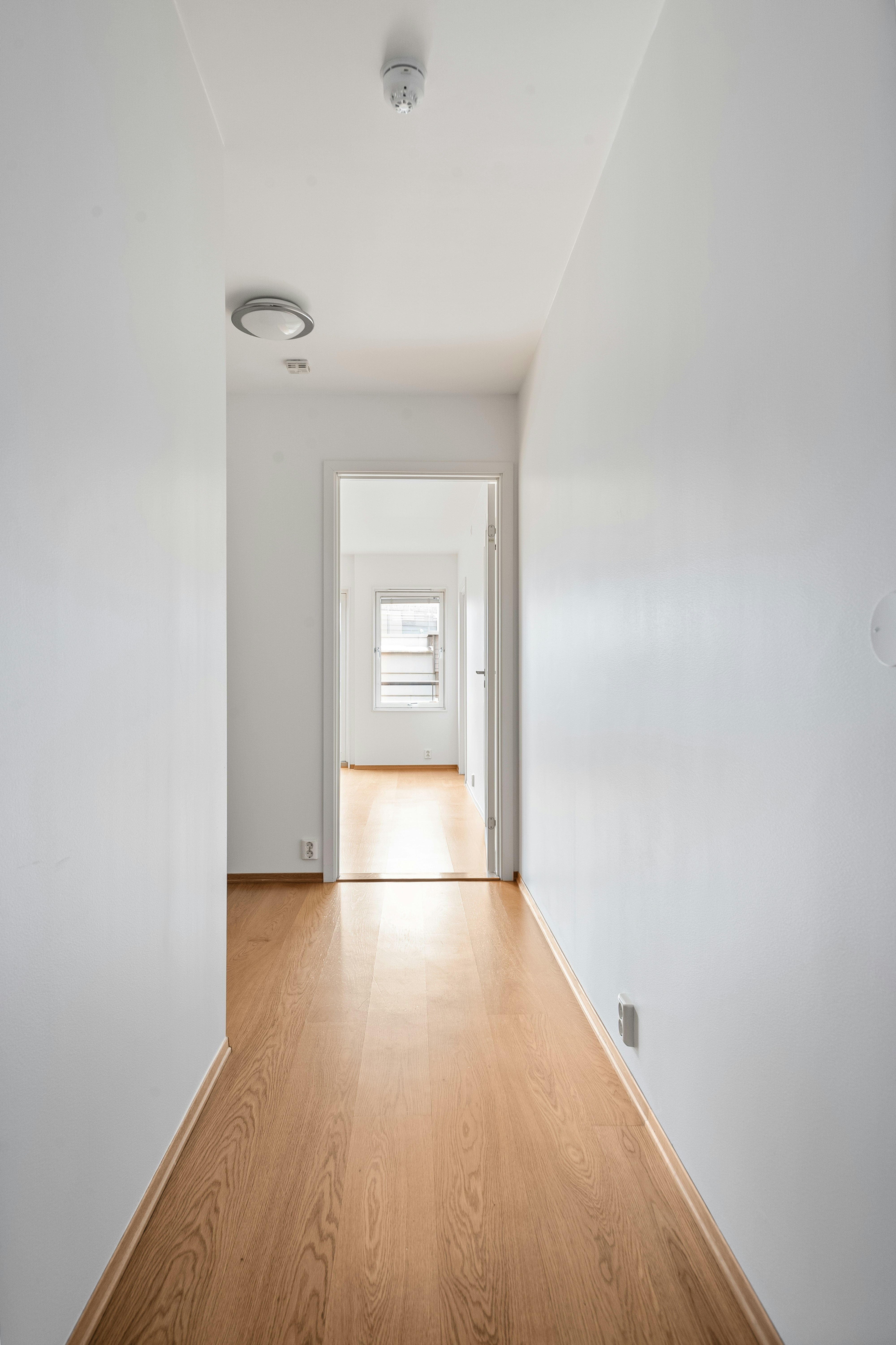 Photo by alextyson195