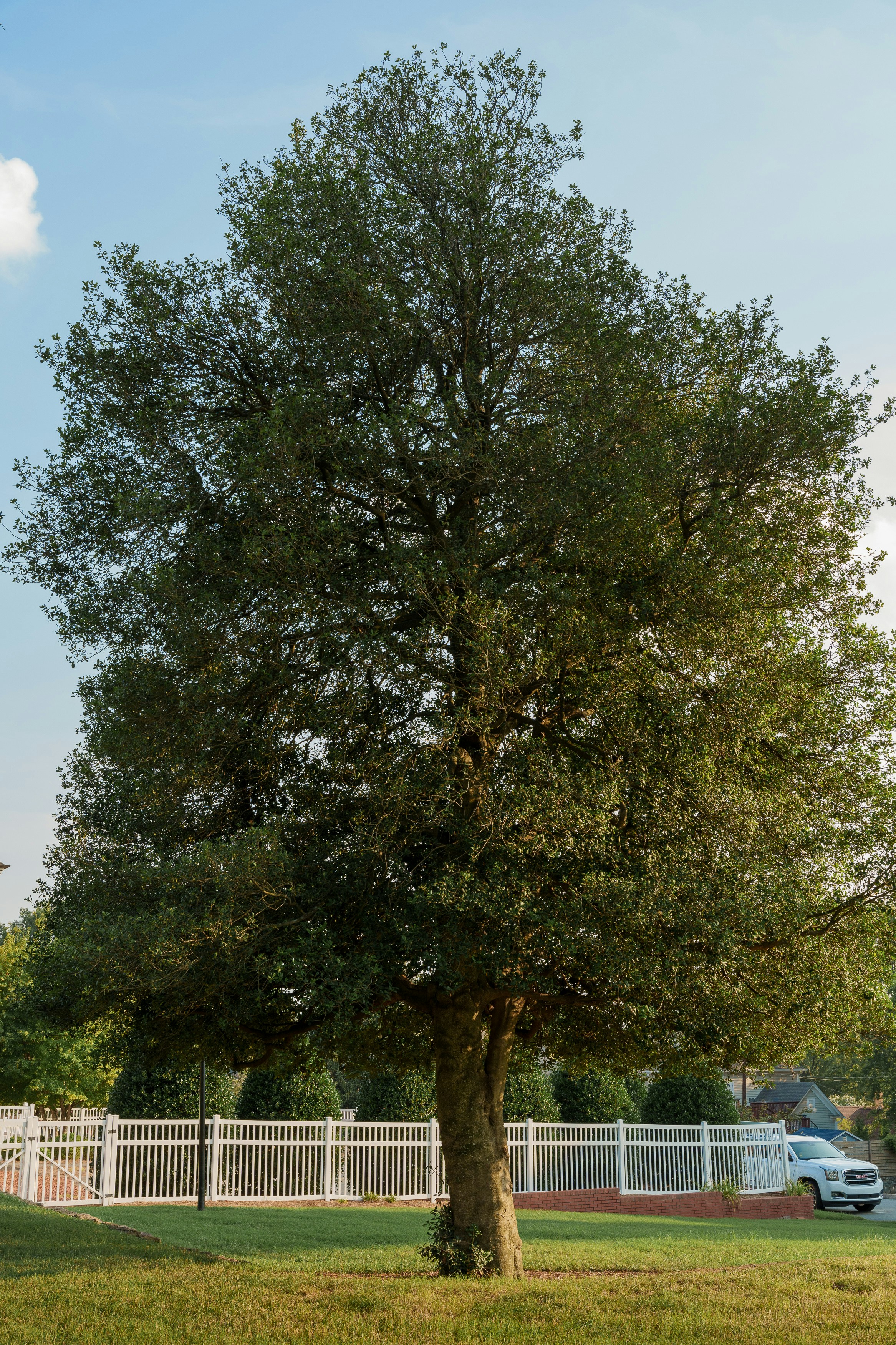 Photo by atharvaramdurgkar