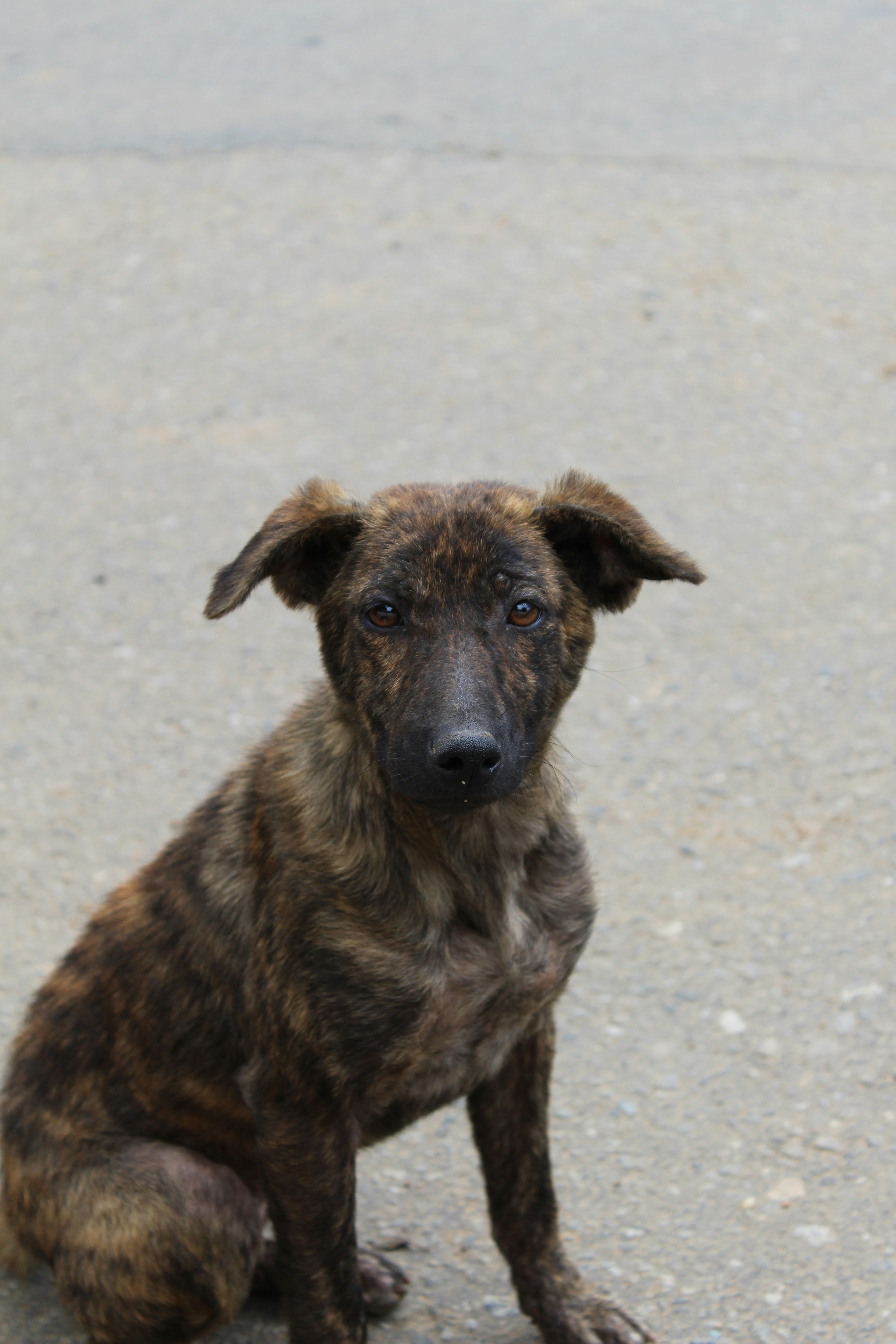 Photo by jules_unsplash