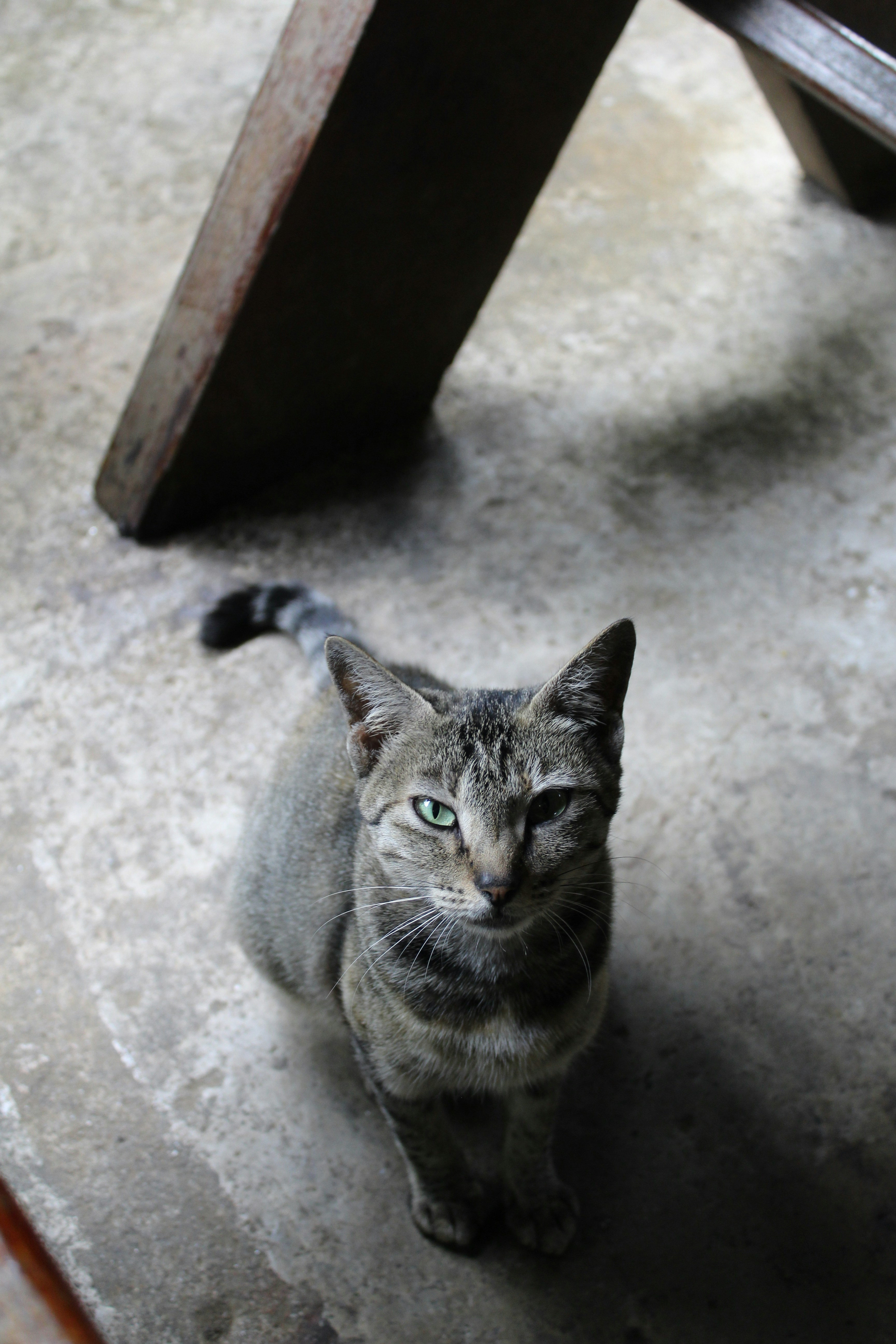 Photo by jules_unsplash