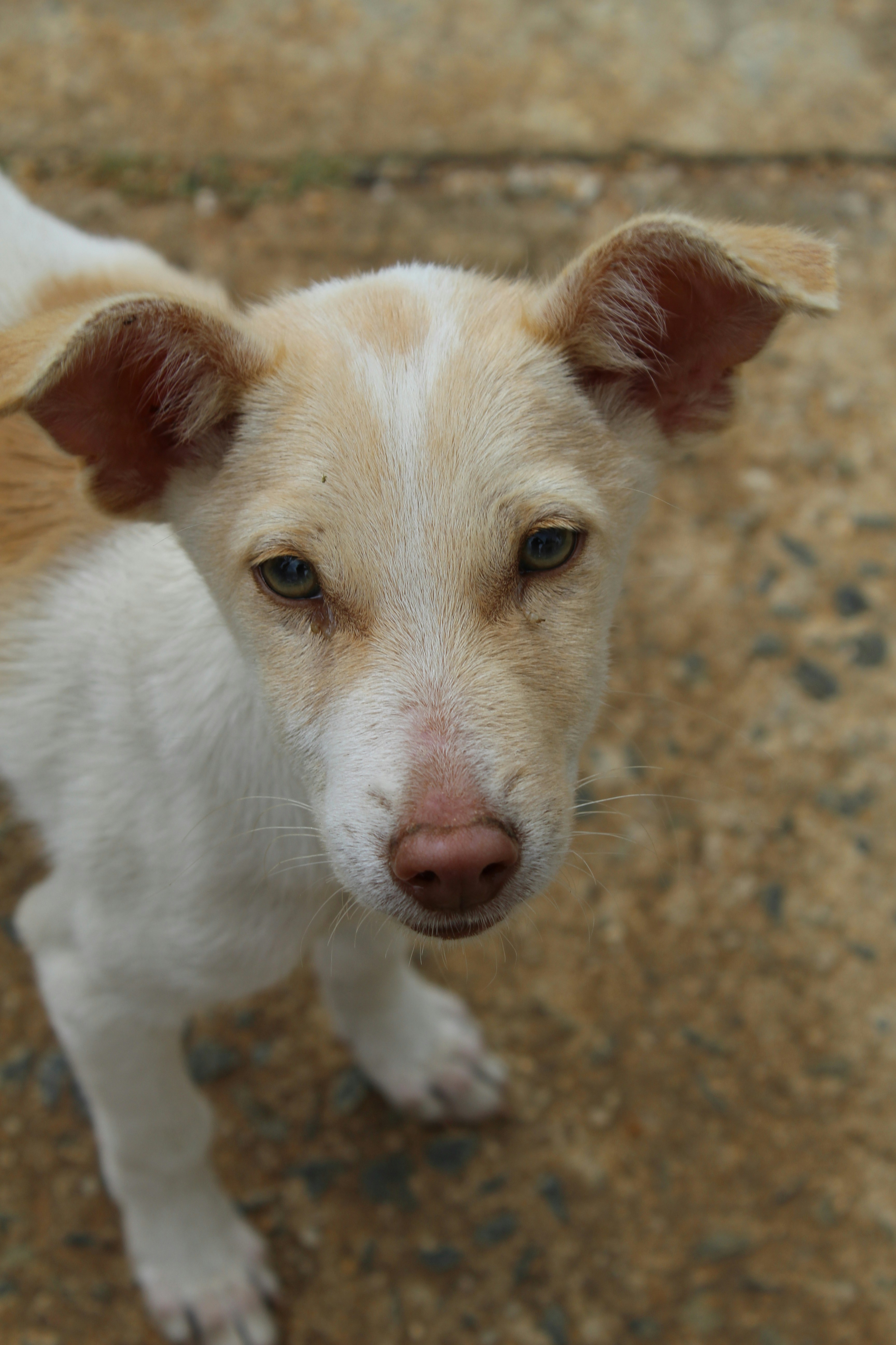 Photo by jules_unsplash