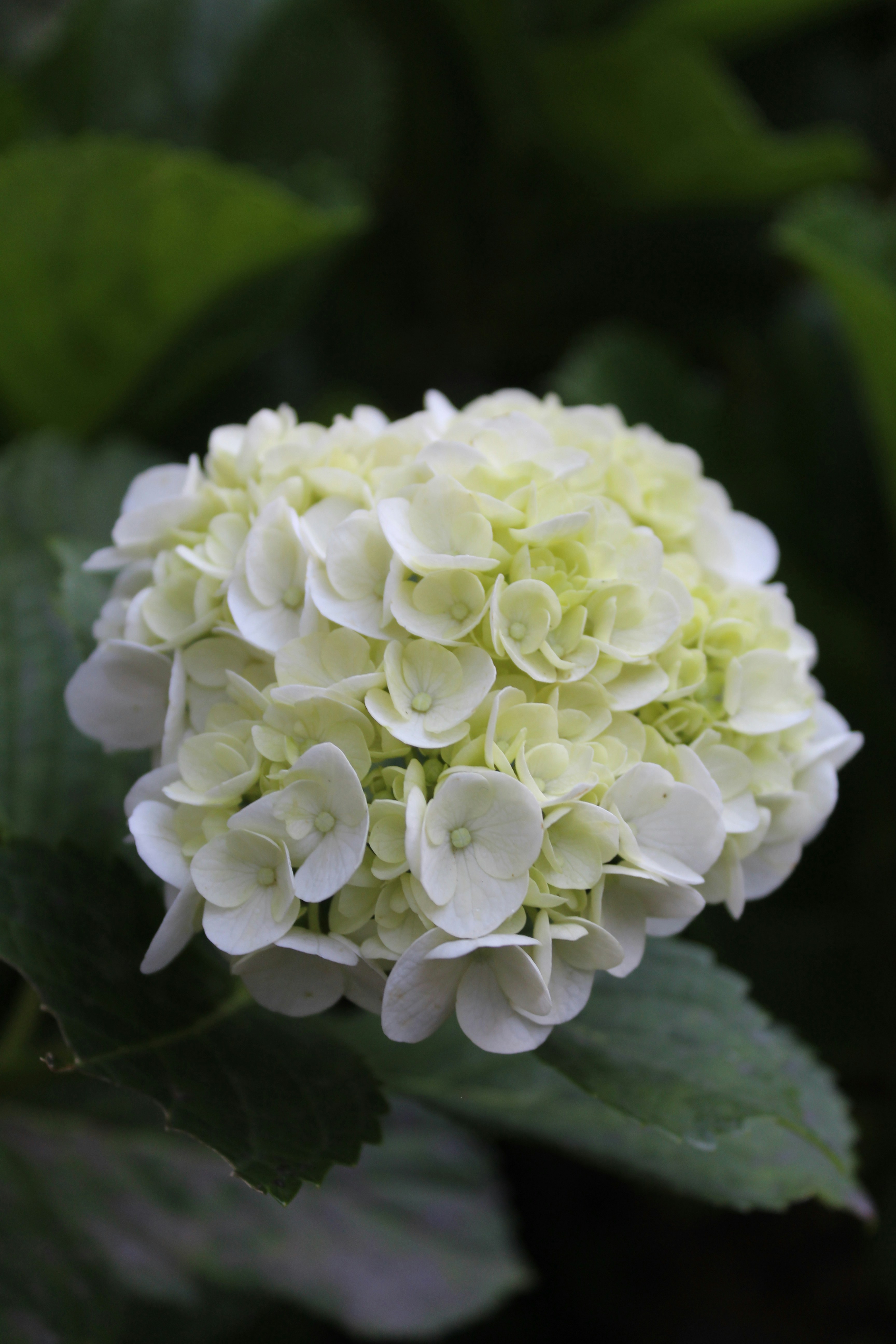 Photo by jules_unsplash