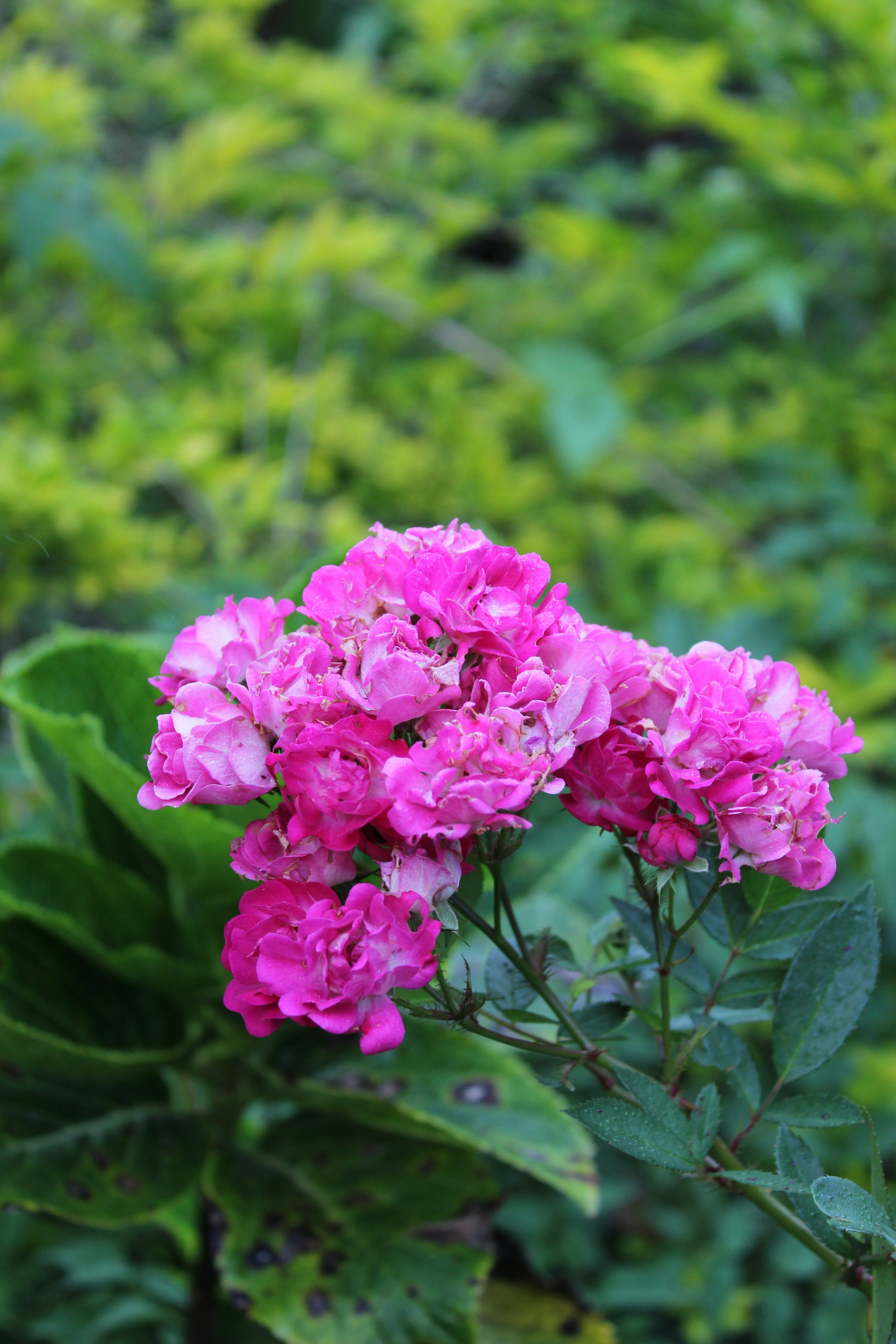 Photo by jules_unsplash