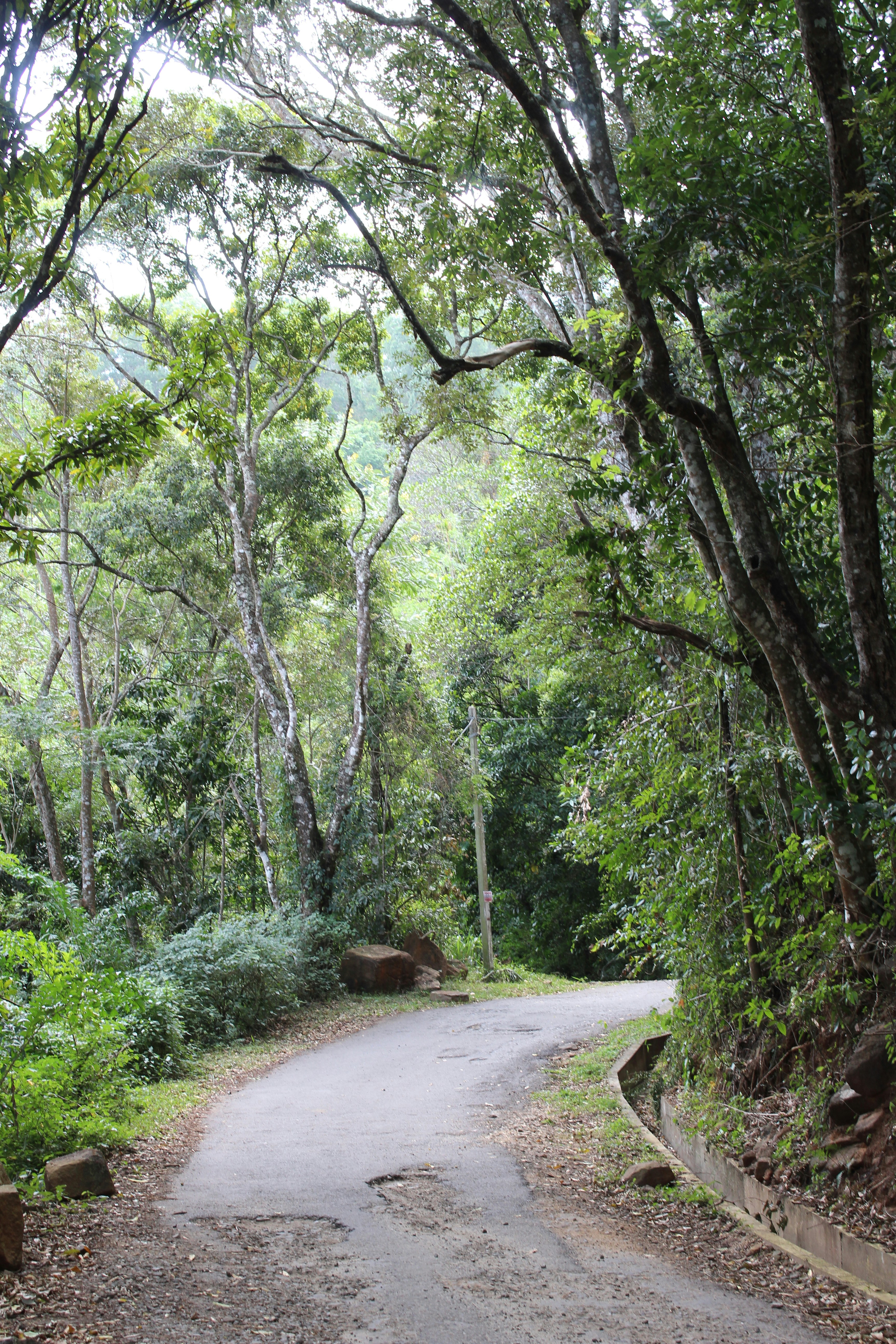 Photo by jules_unsplash