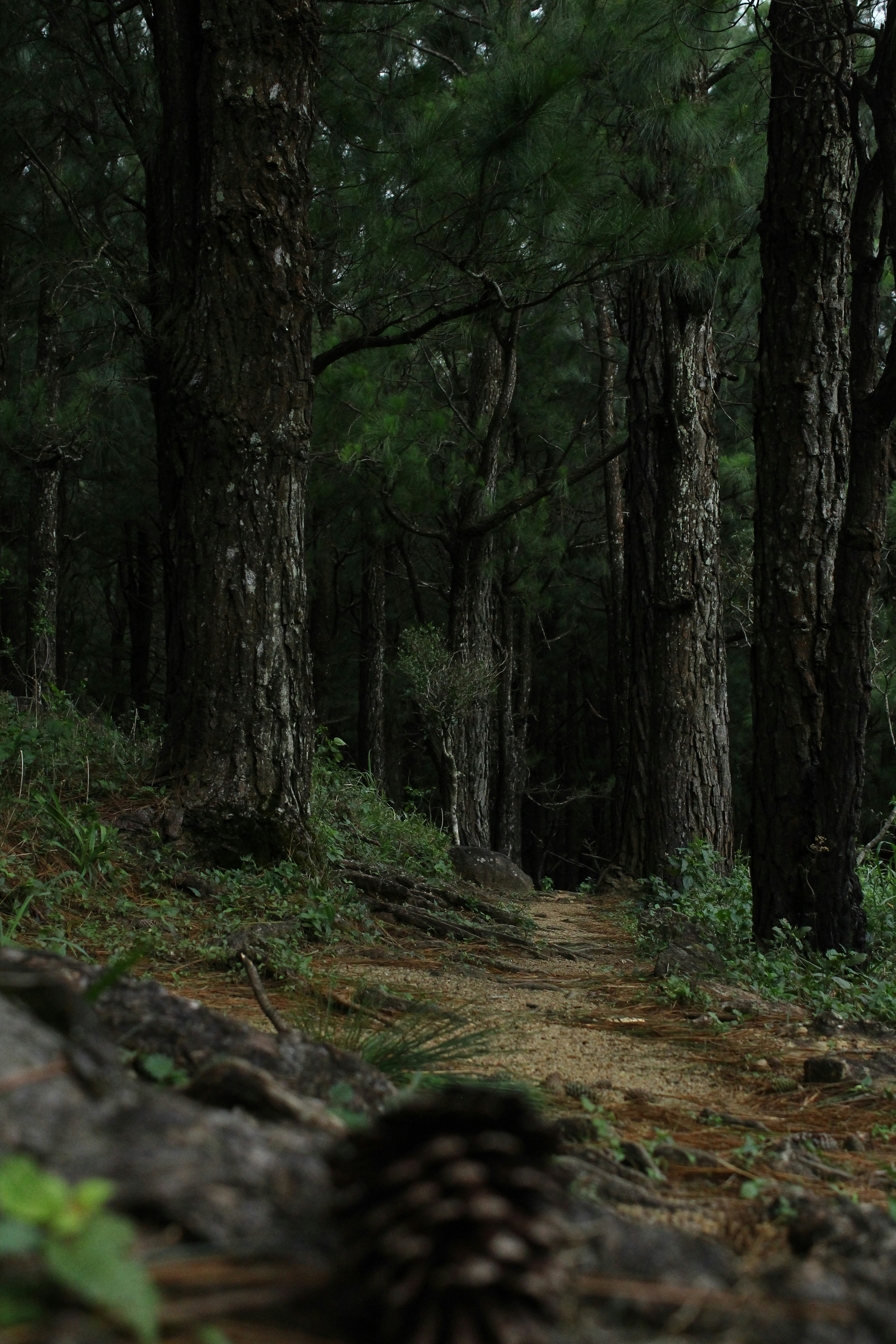 Photo by jules_unsplash