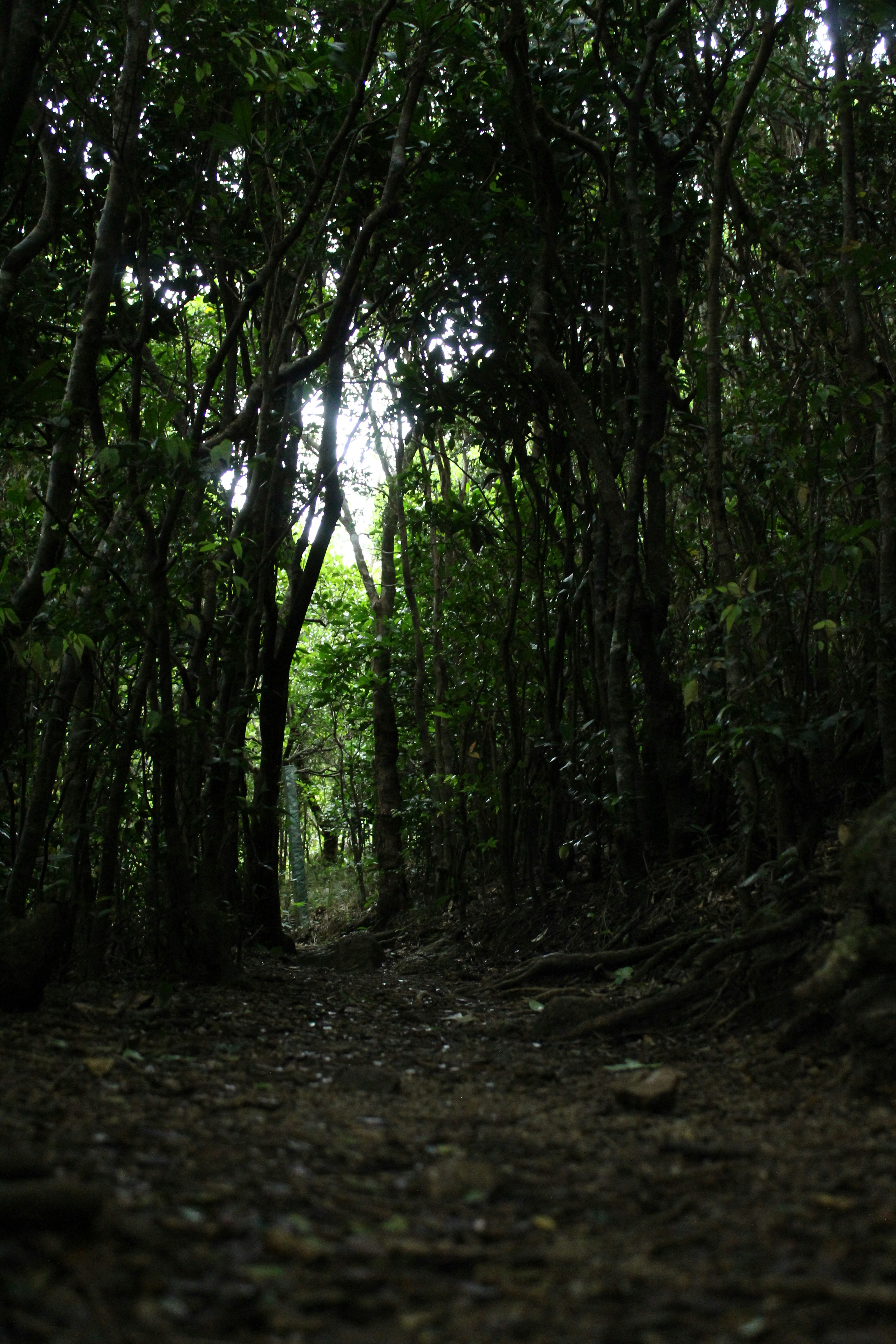 Photo by jules_unsplash