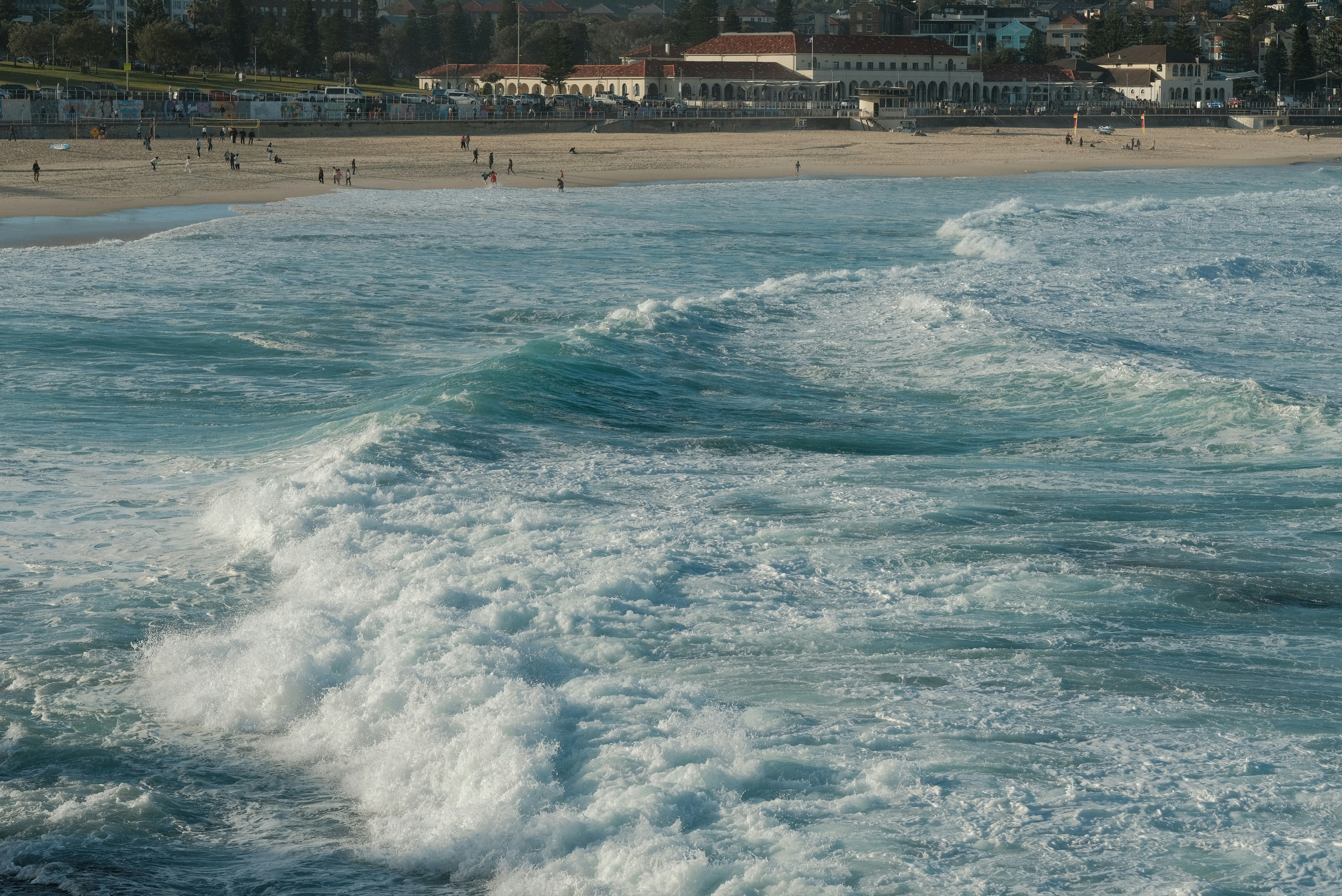 Bondi Beach tips: Surfing Lessons for Kids and Adults