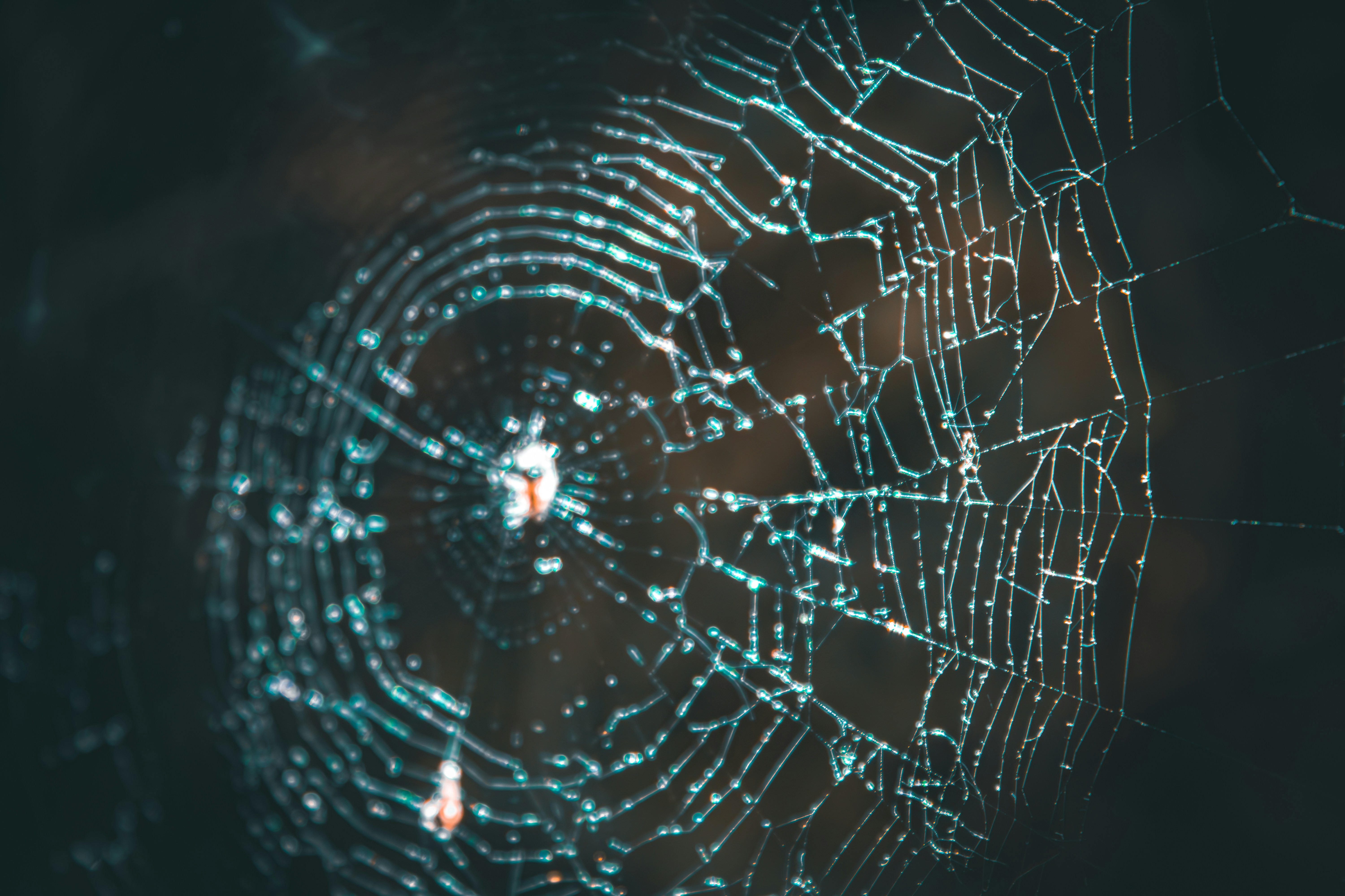 Securing Android: The Biometric Lockscreen Dilemma