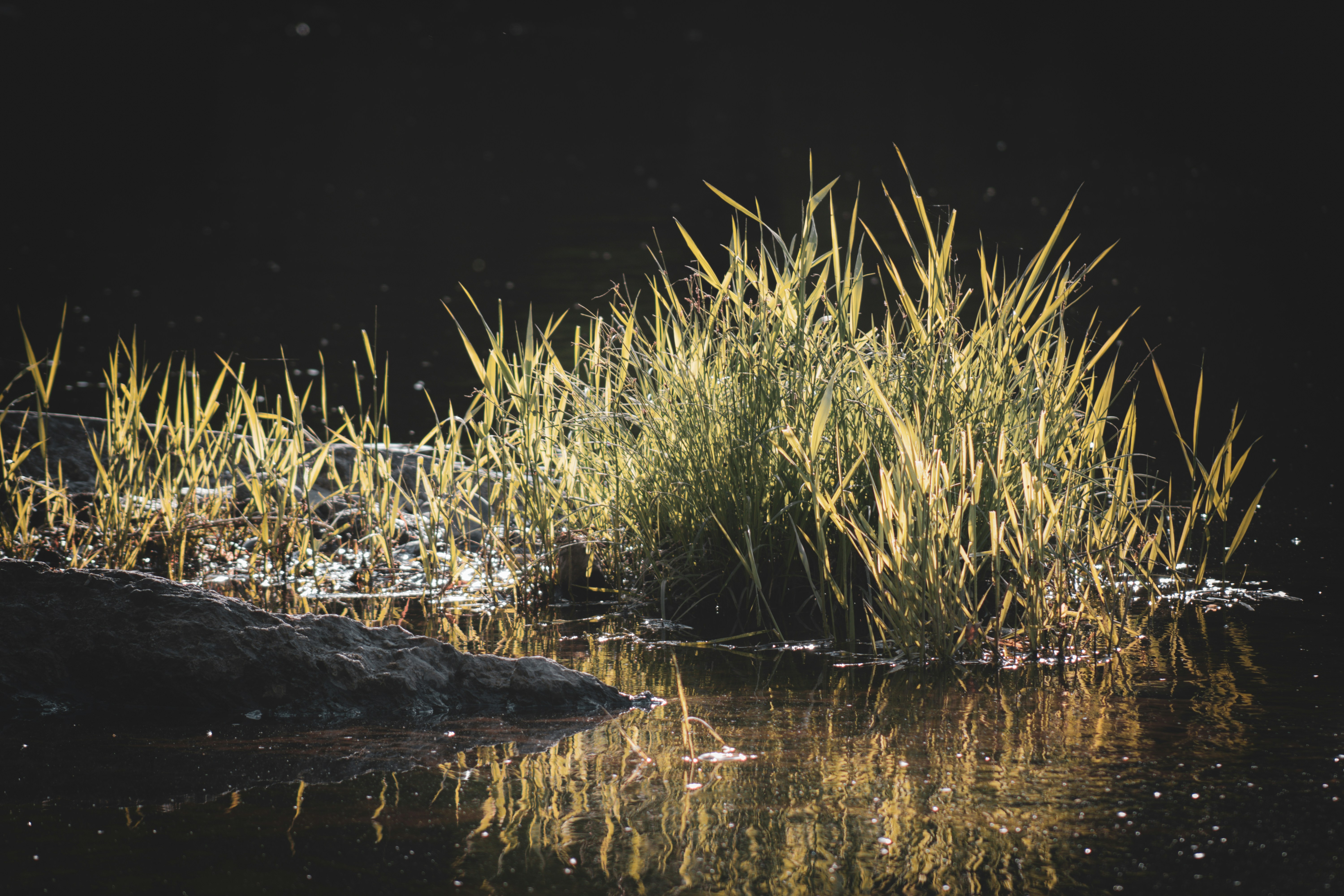 Photo by richiemortis