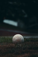 A white soccer ball sitting on top of a lush green field