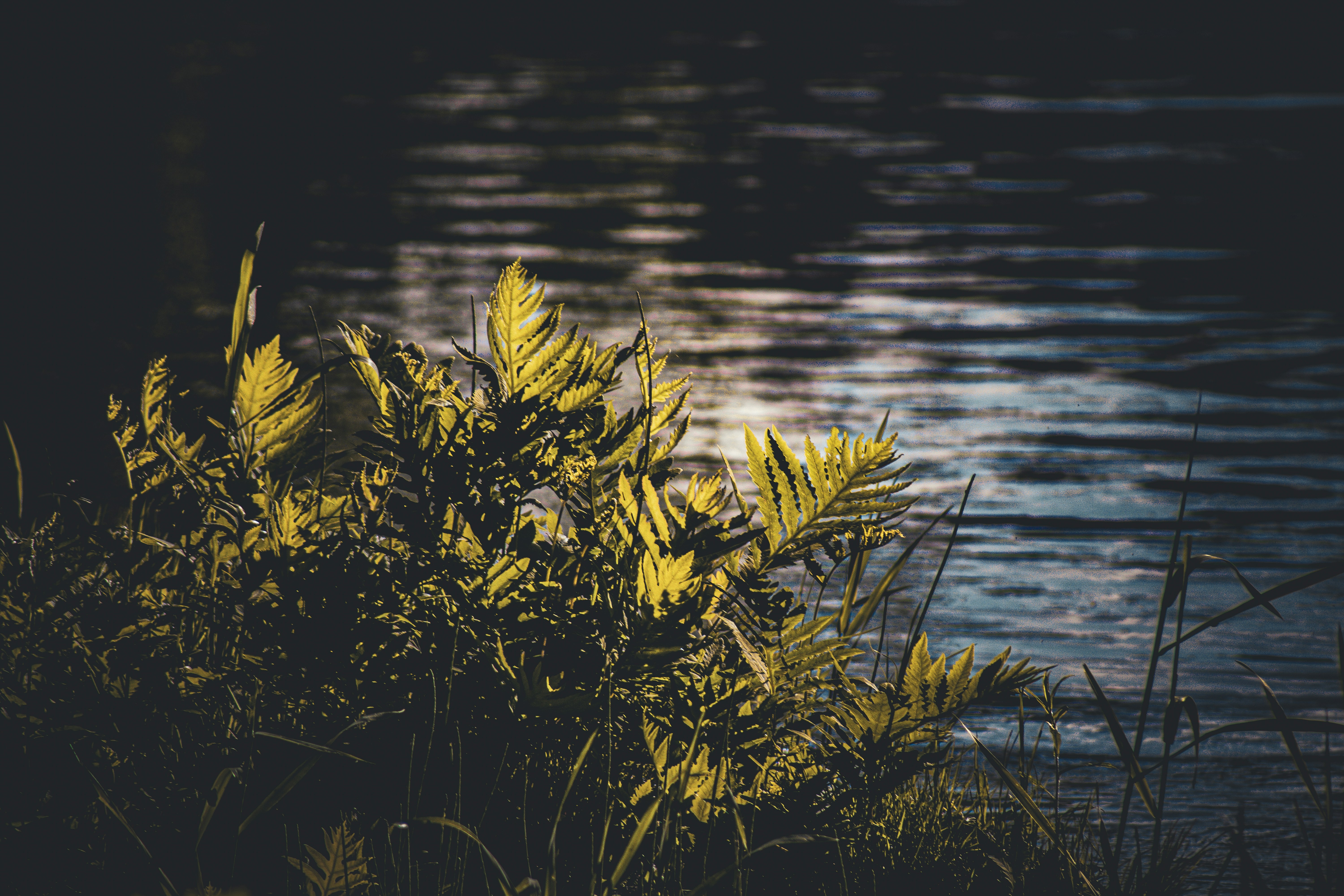 Photo by richiemortis