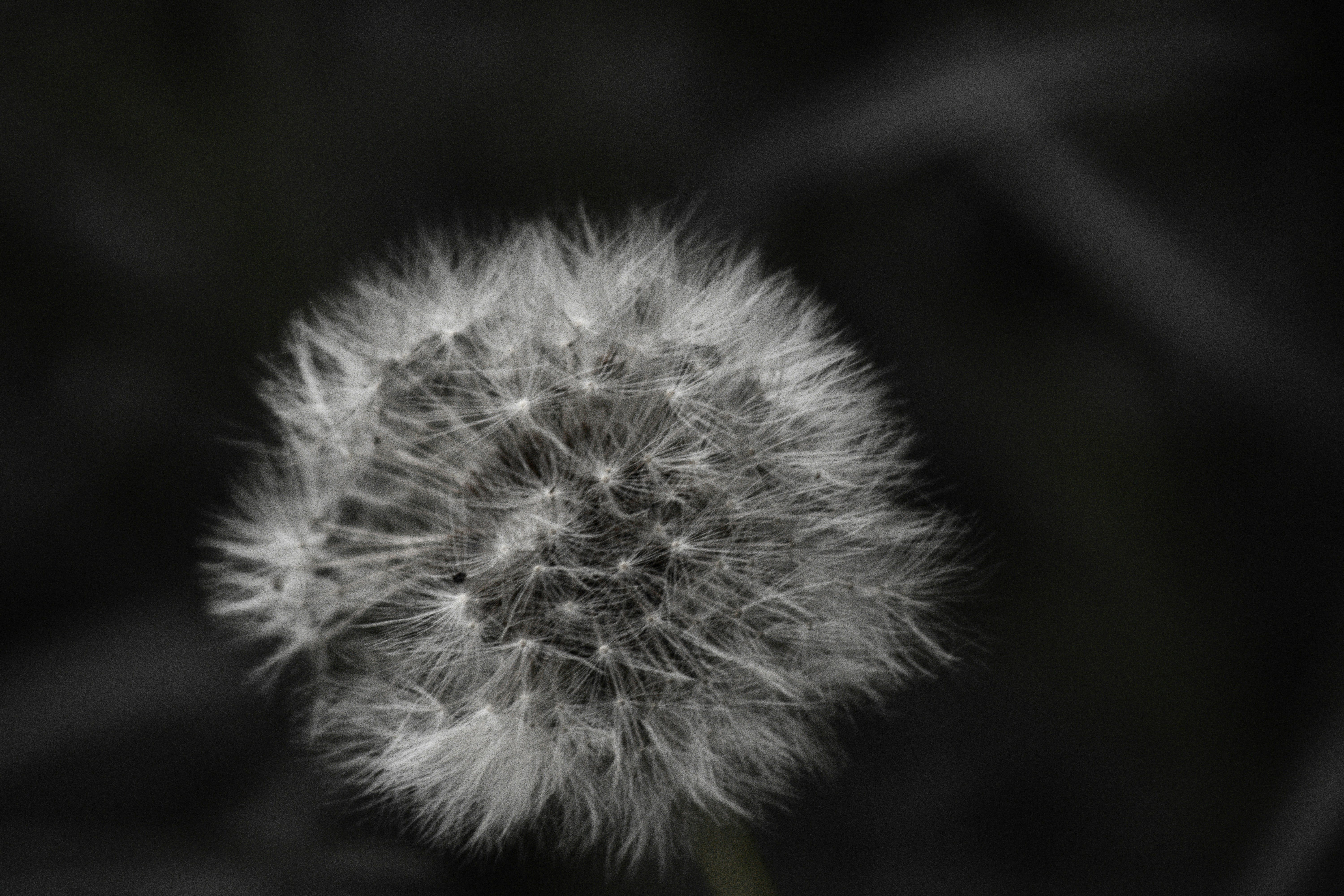 Photo by richiemortis