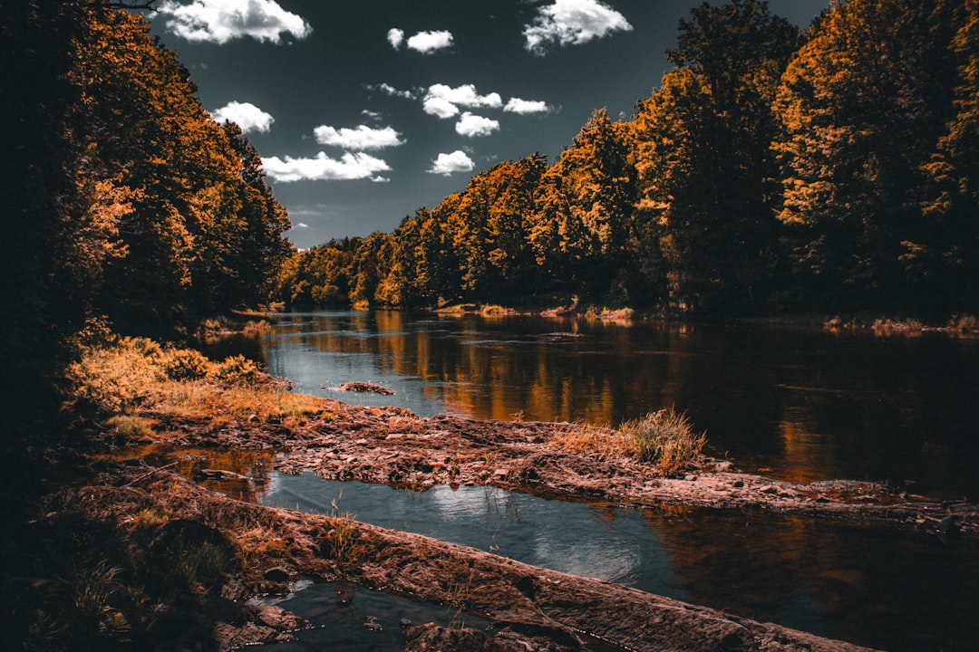 A river surrounded by trees under a cloudy sky, Along a river in northern Maine.