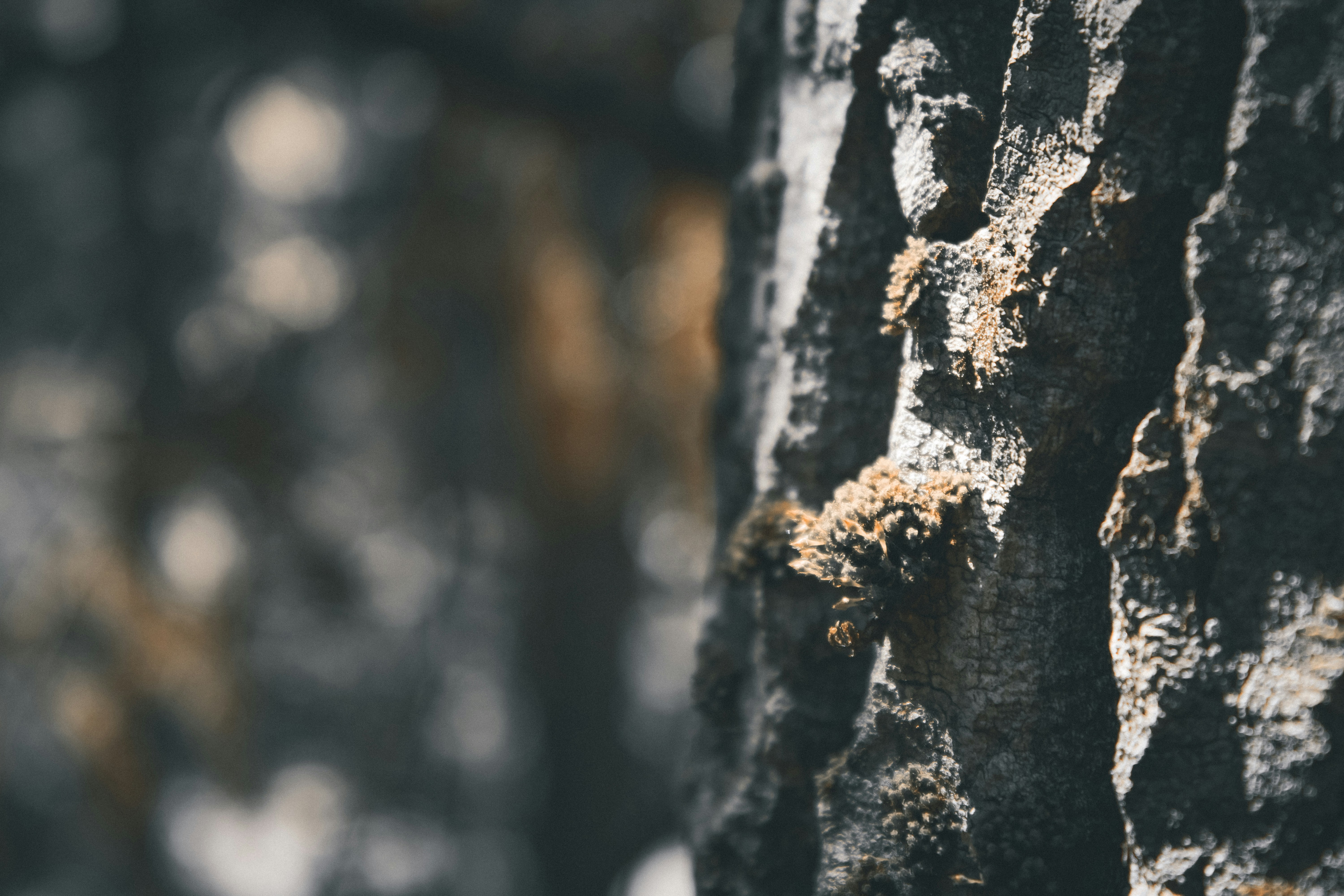 Photo by richiemortis