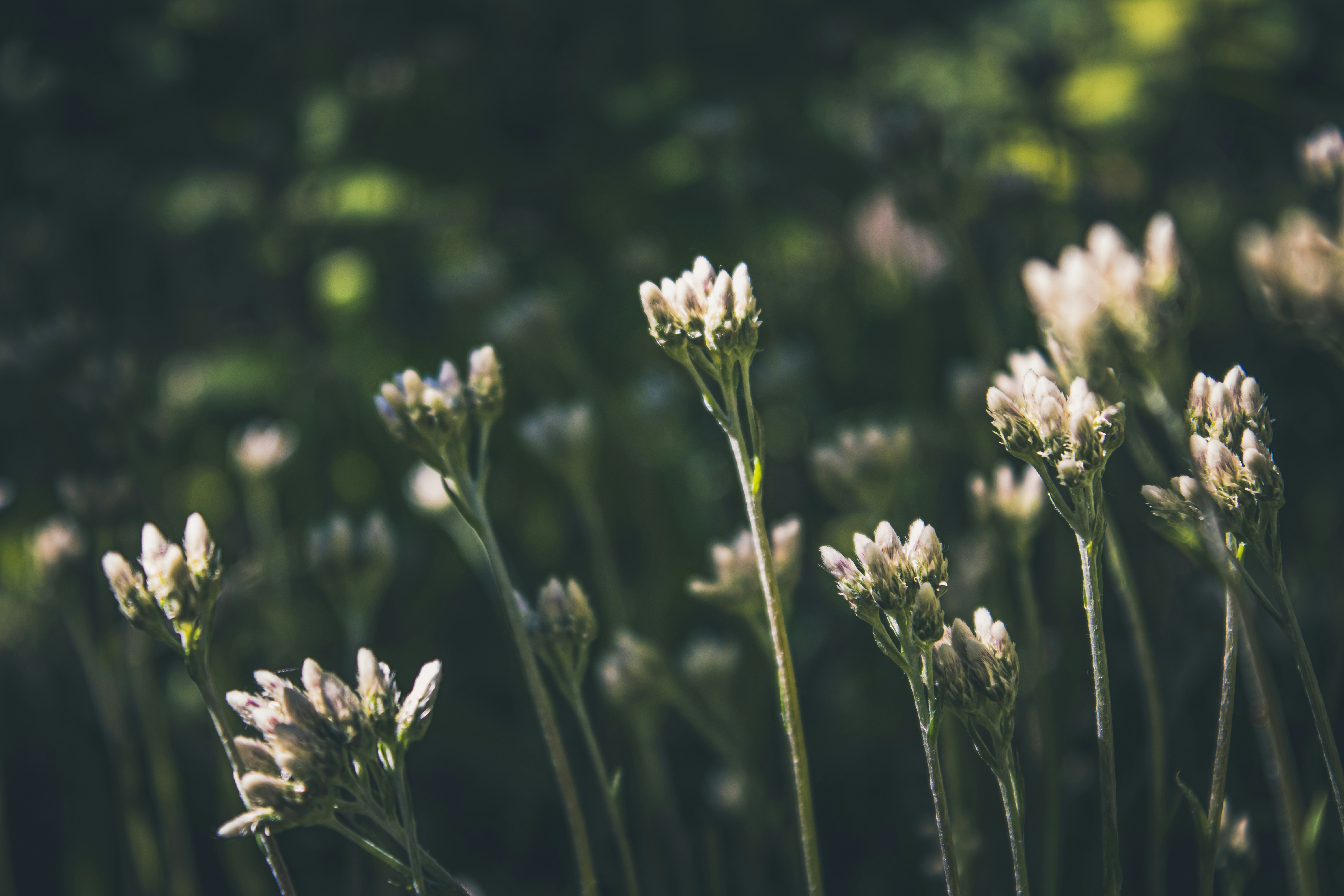 Photo by richiemortis