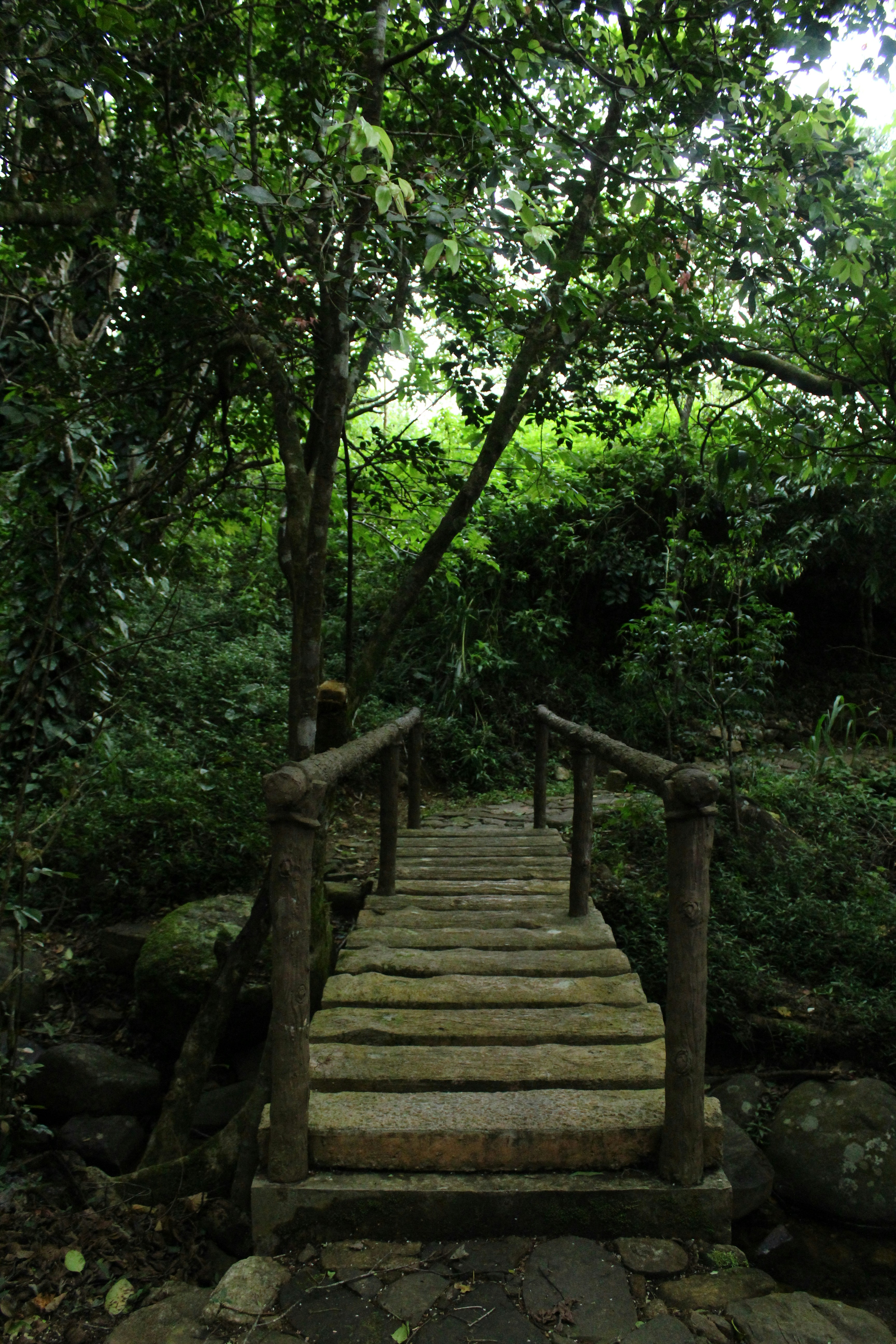 Photo by jules_unsplash