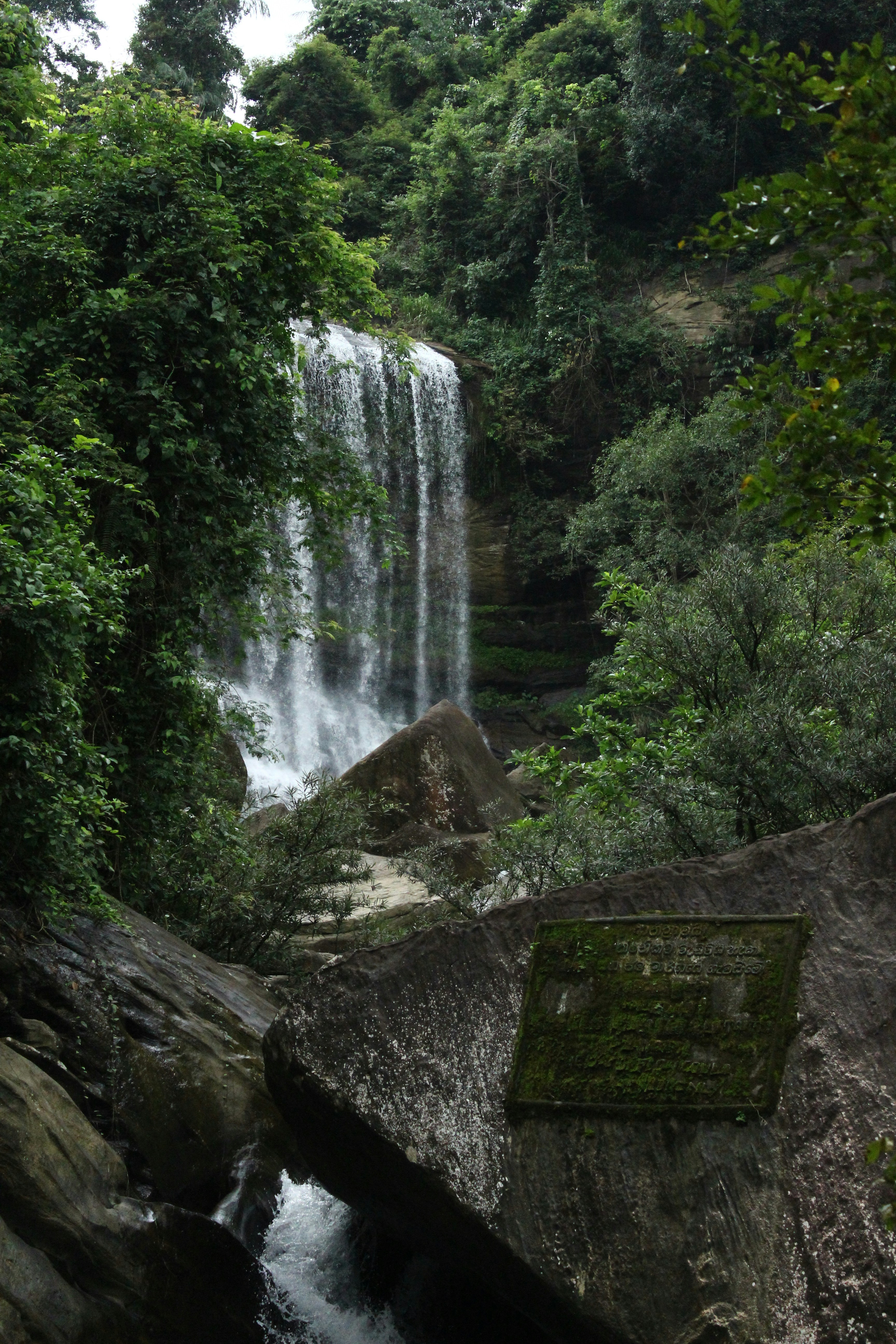 Photo by jules_unsplash