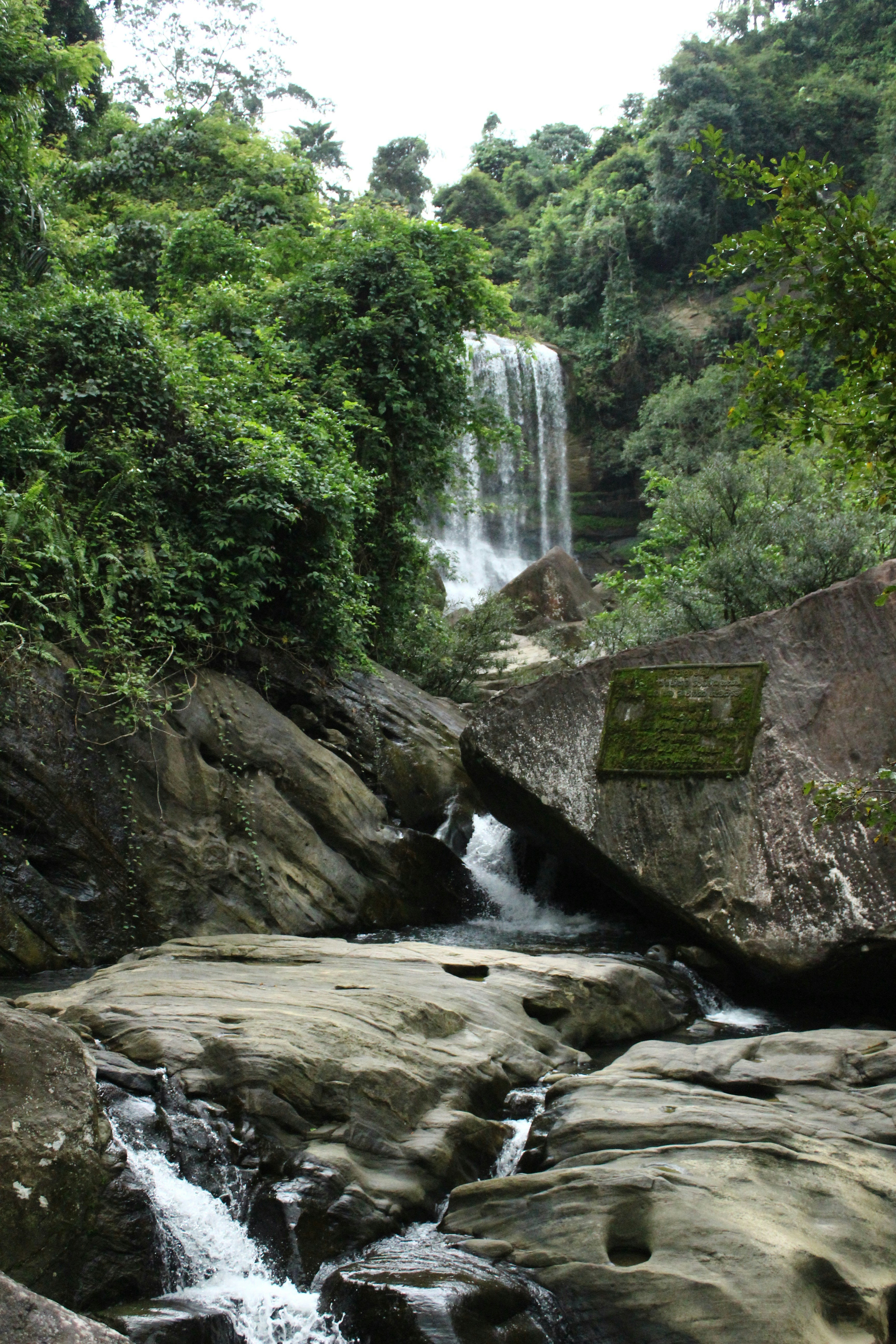 Photo by jules_unsplash