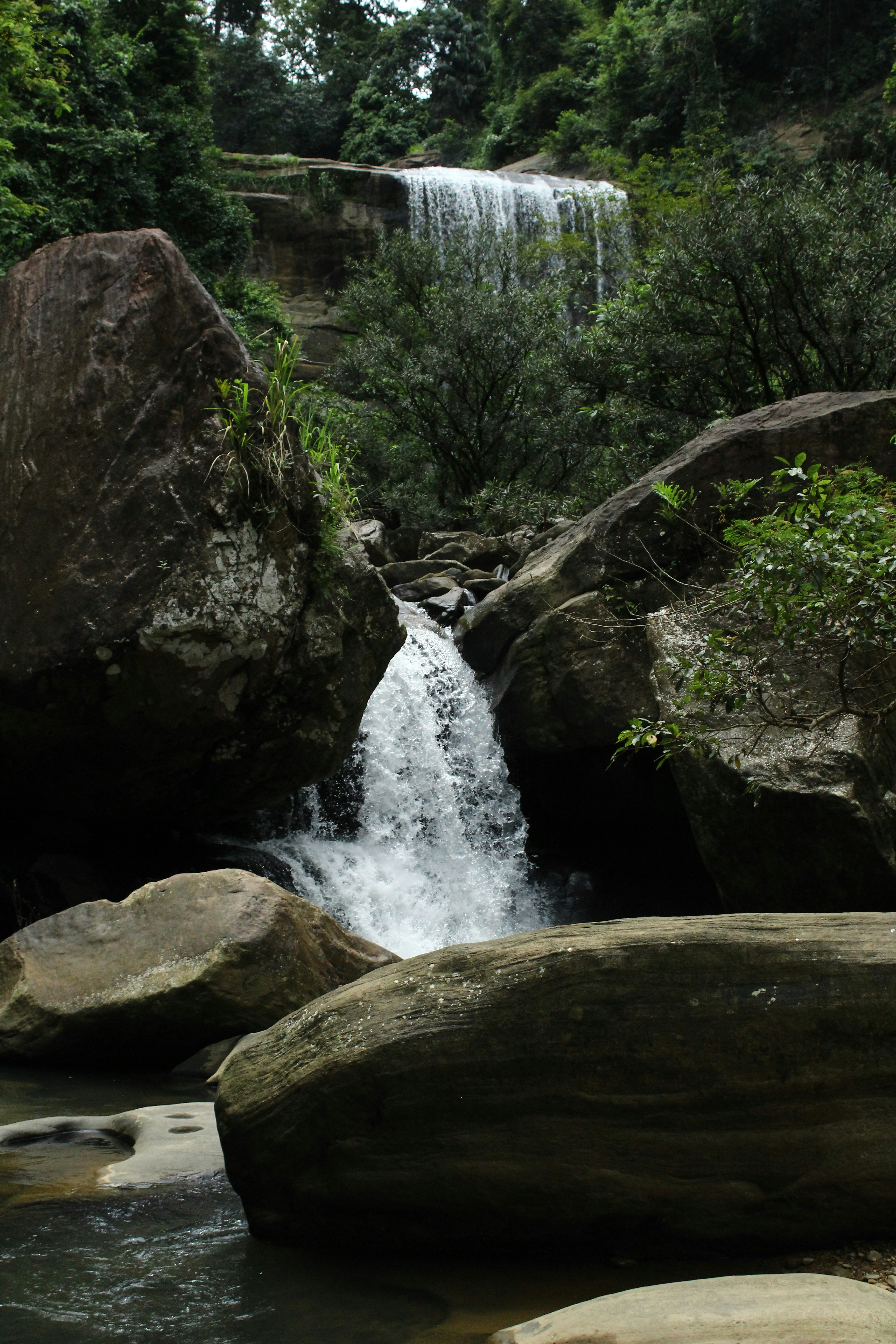 Photo by jules_unsplash