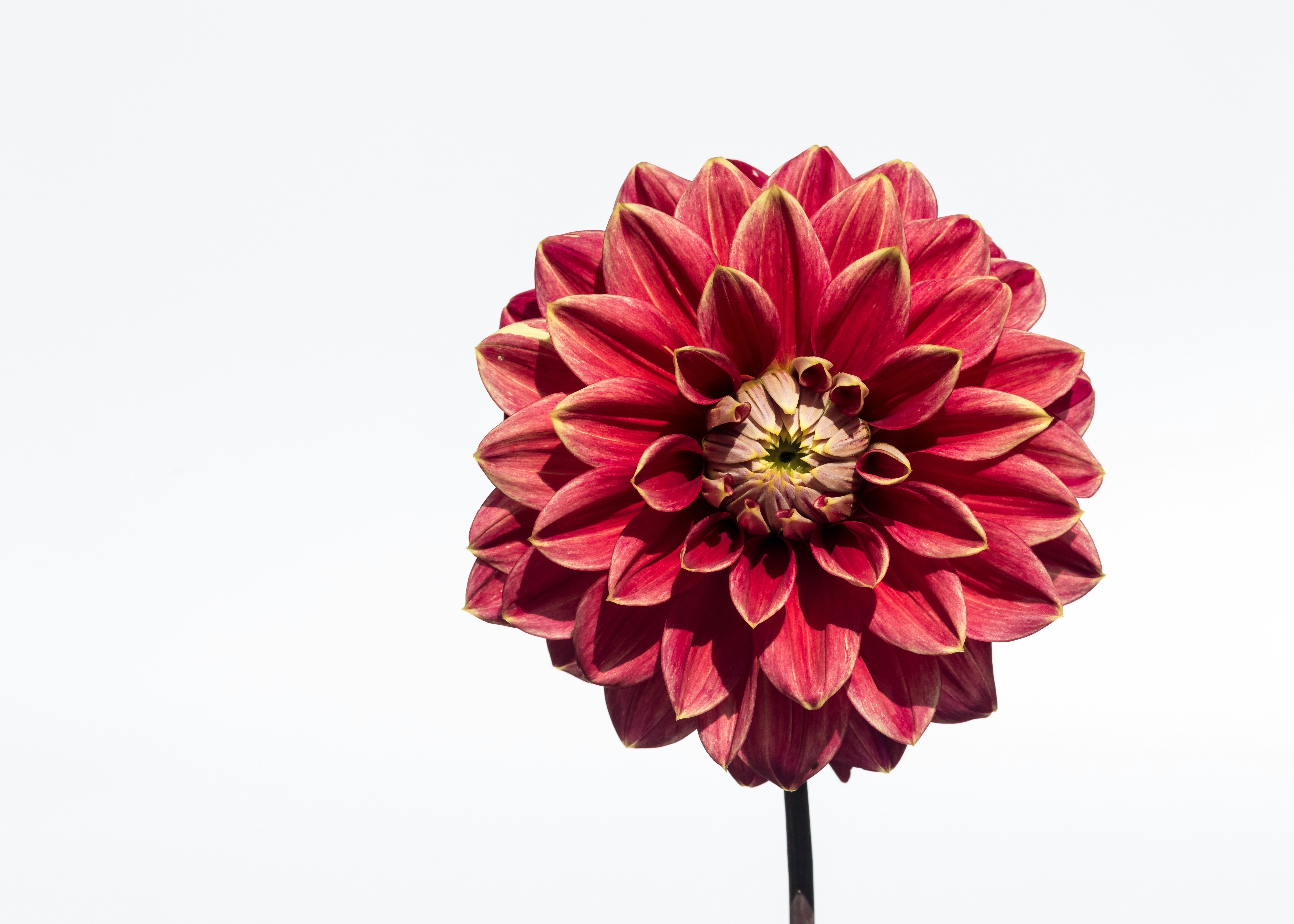 Photo by hamburgmeinefreundin