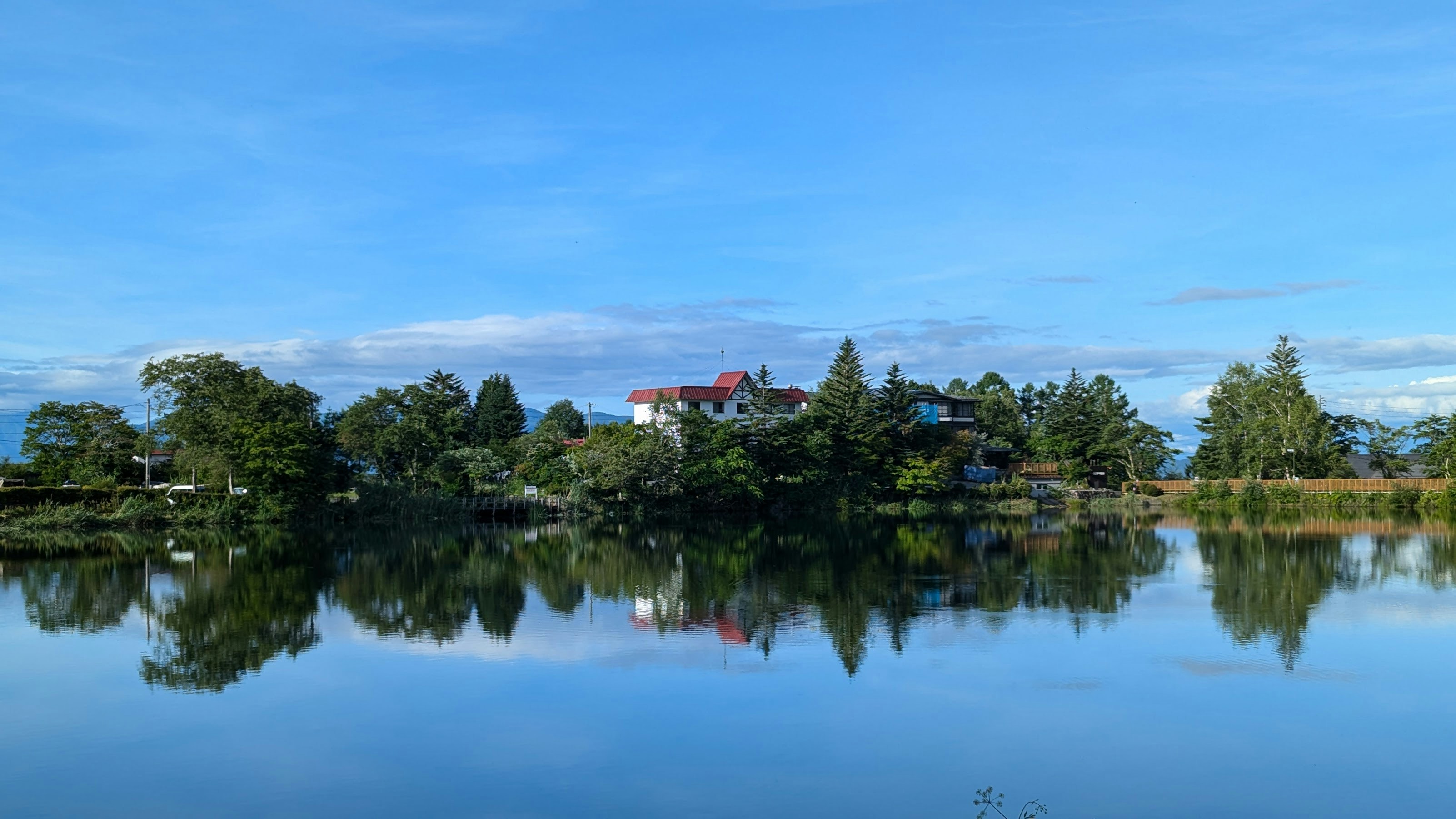 科技巨頭驚天內幕！演算法正在操控你的人生？