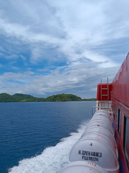 Scenic cruising Sarmiento Channel port