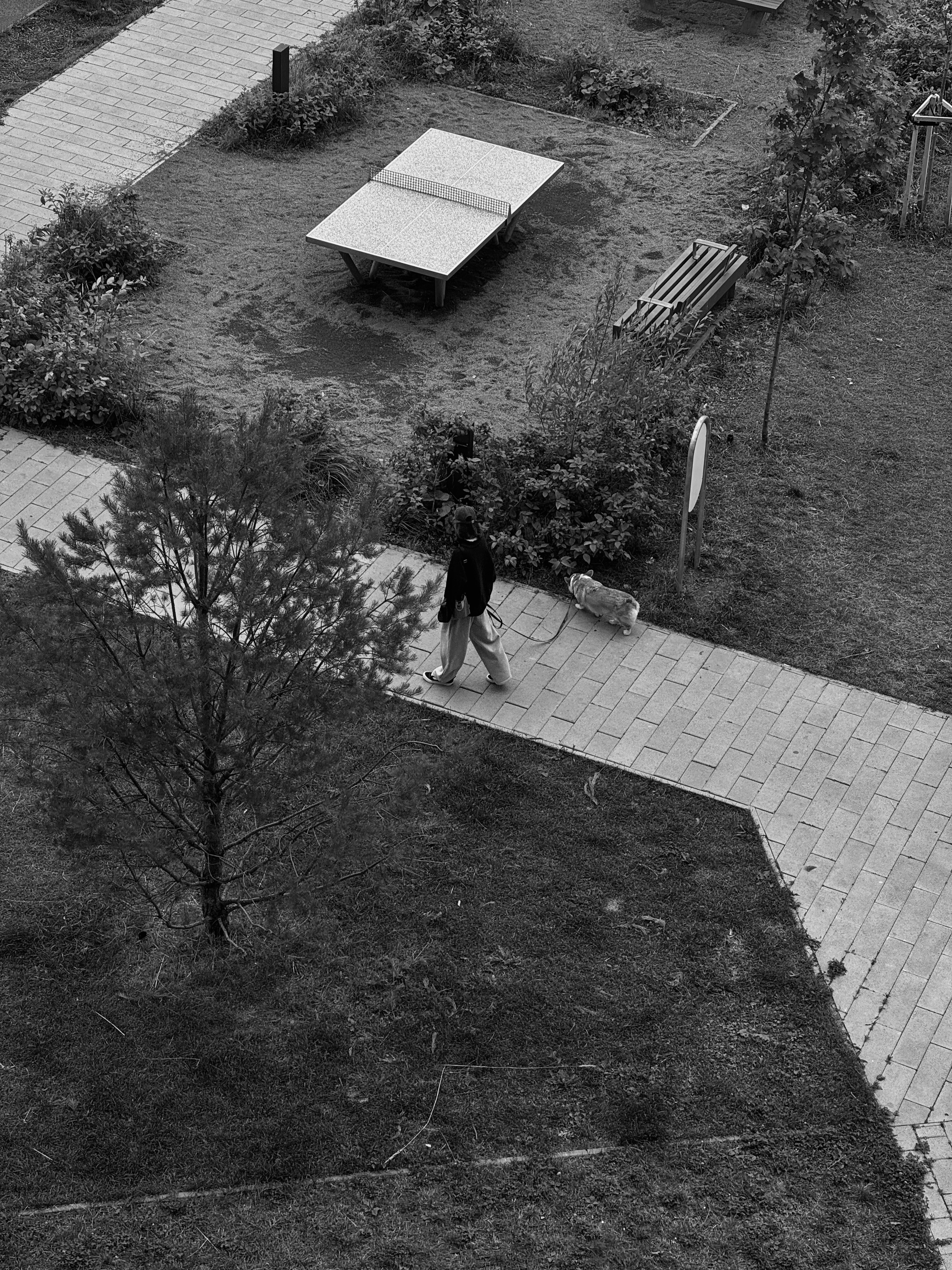 Une photo en noir et blanc d’une personne marchant sur un trottoir