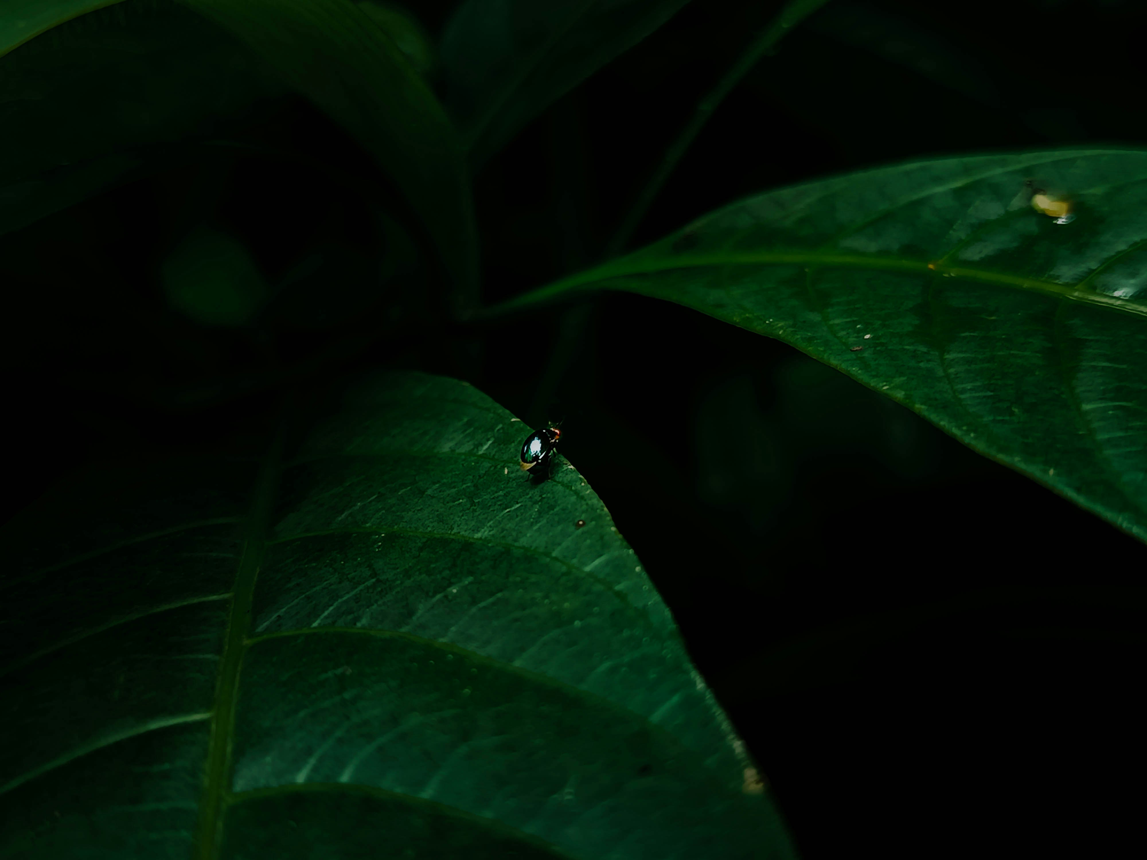 Photo by viswansreedhar