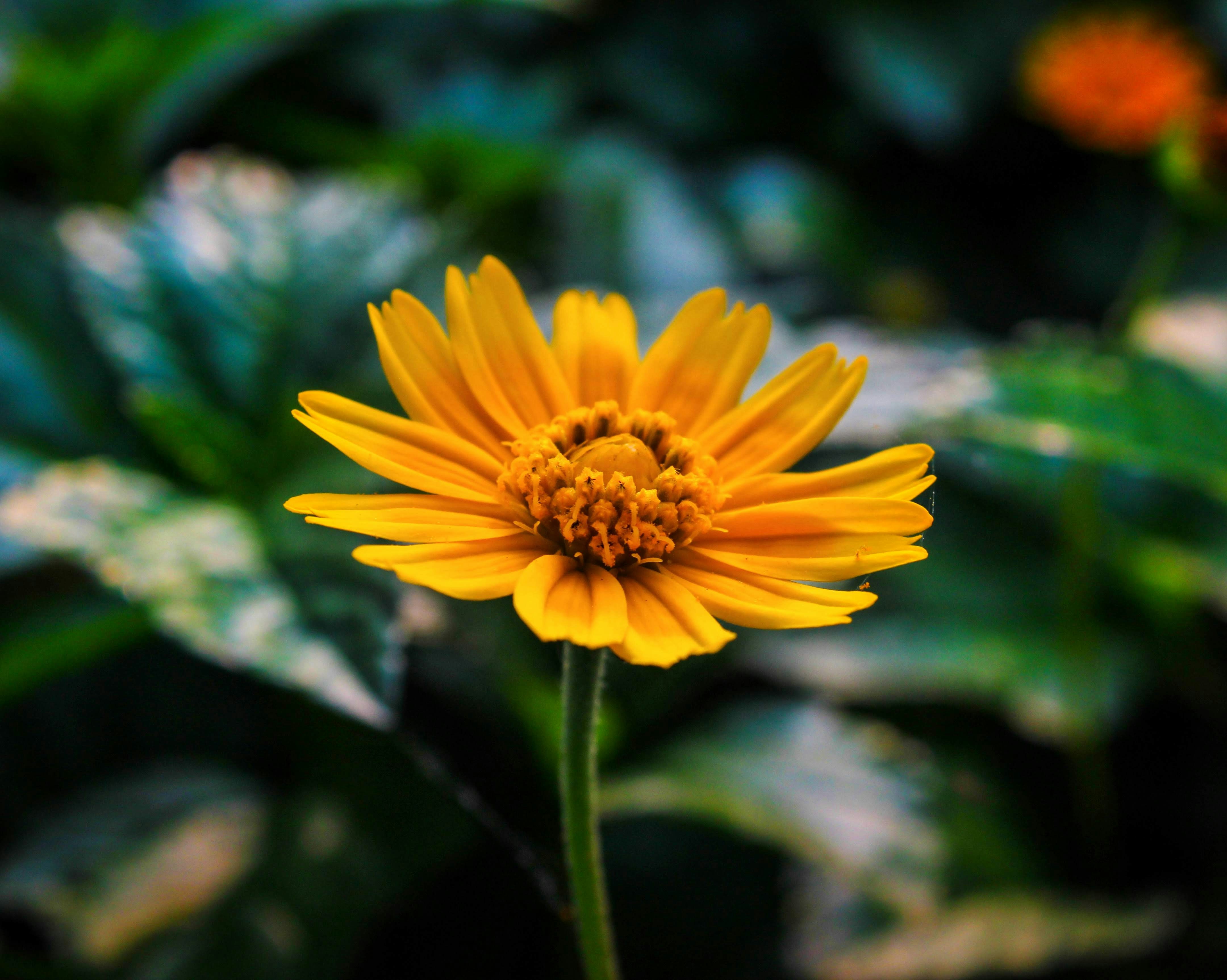 Photo by aditya_sethia_97