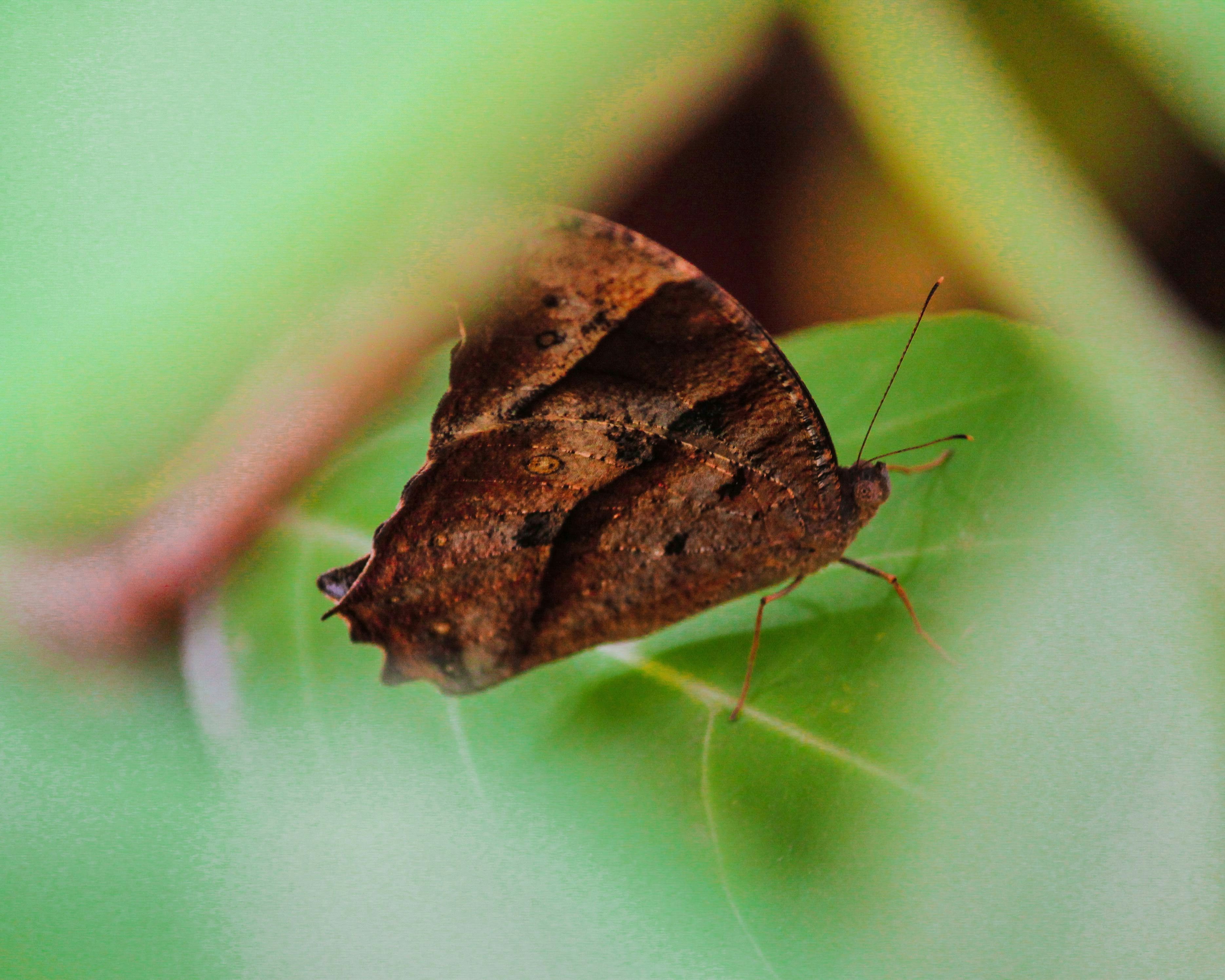 Photo by aditya_sethia_97