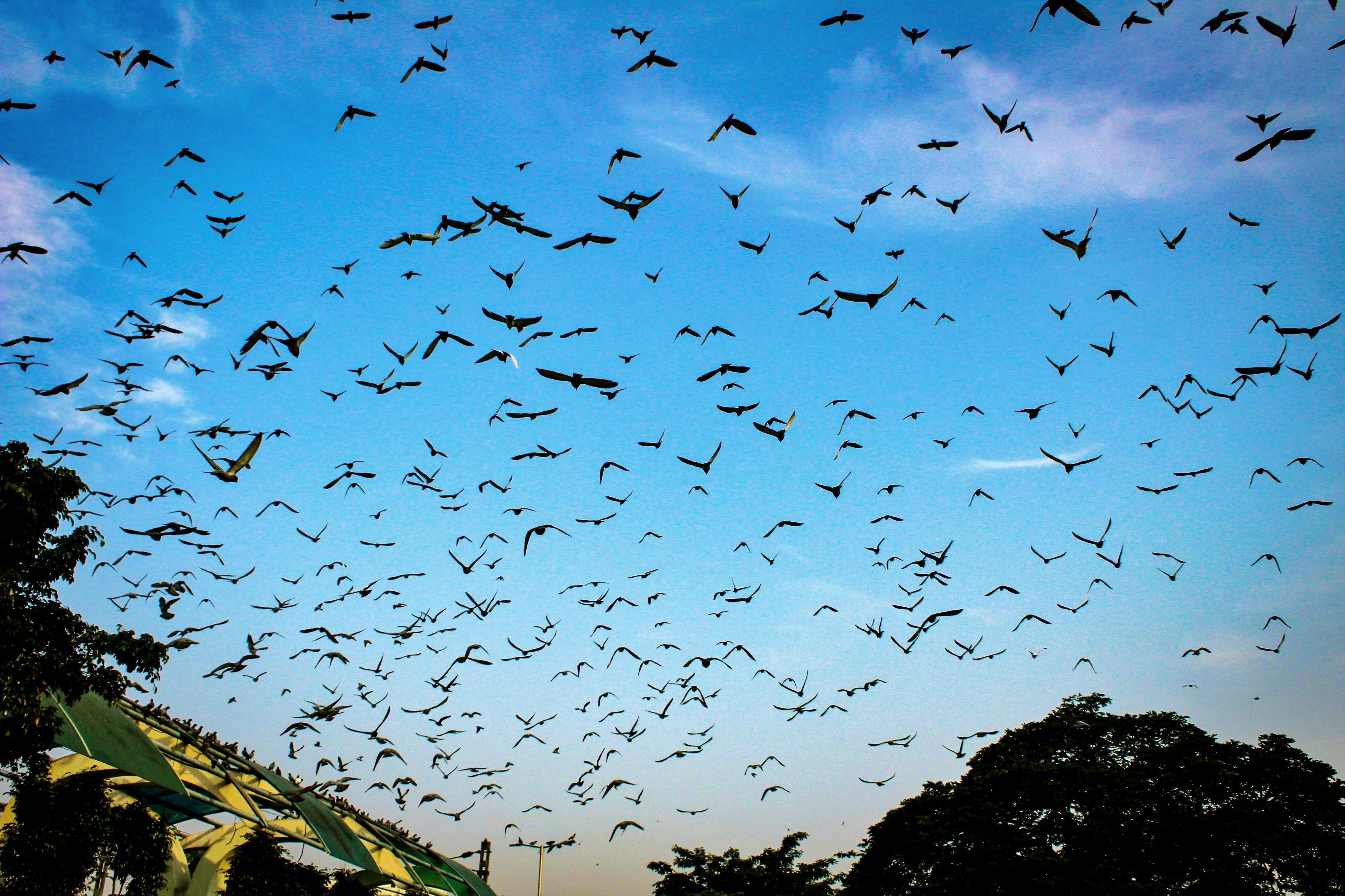 Photo by aditya_sethia_97