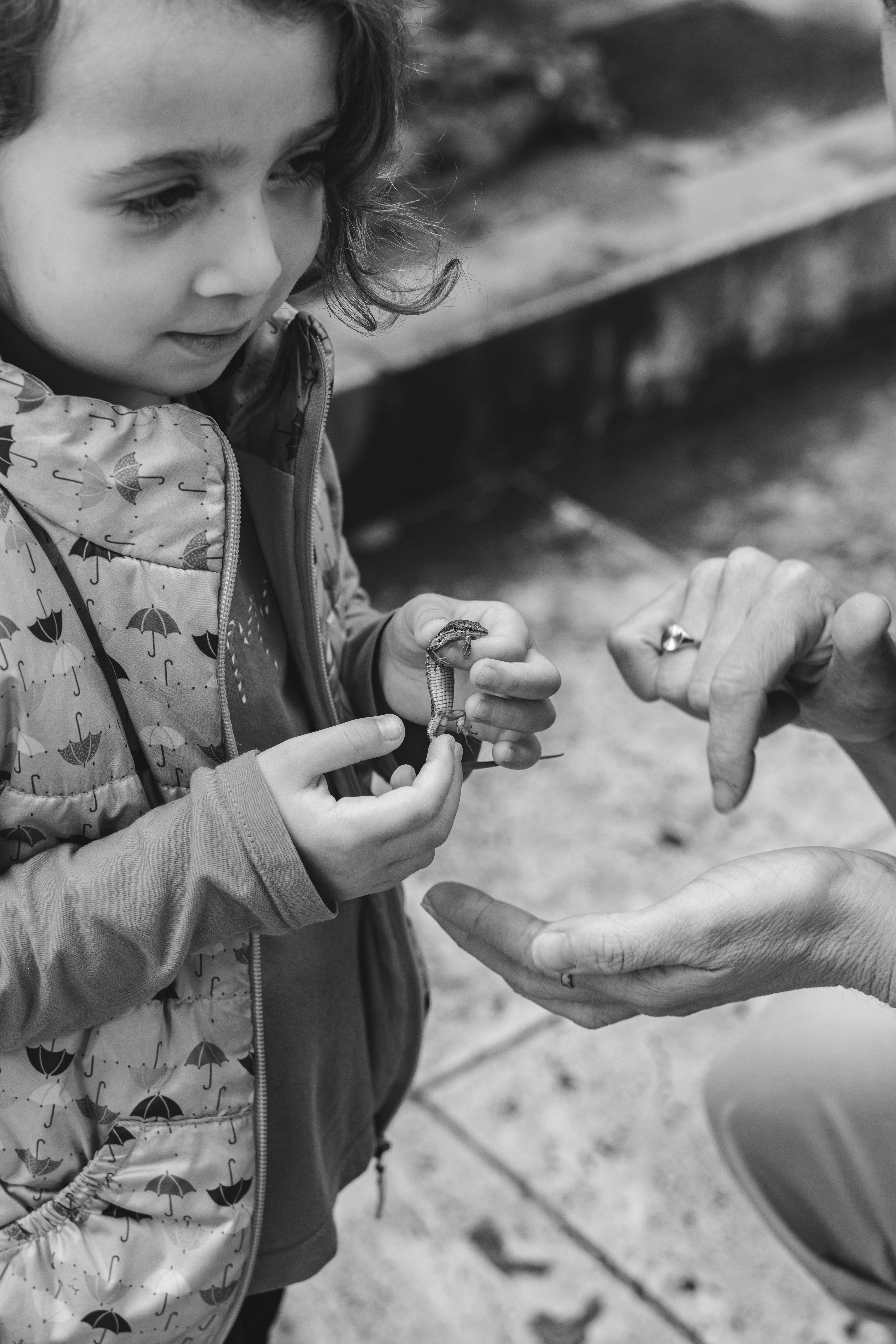 Photo by nellie_adamyan