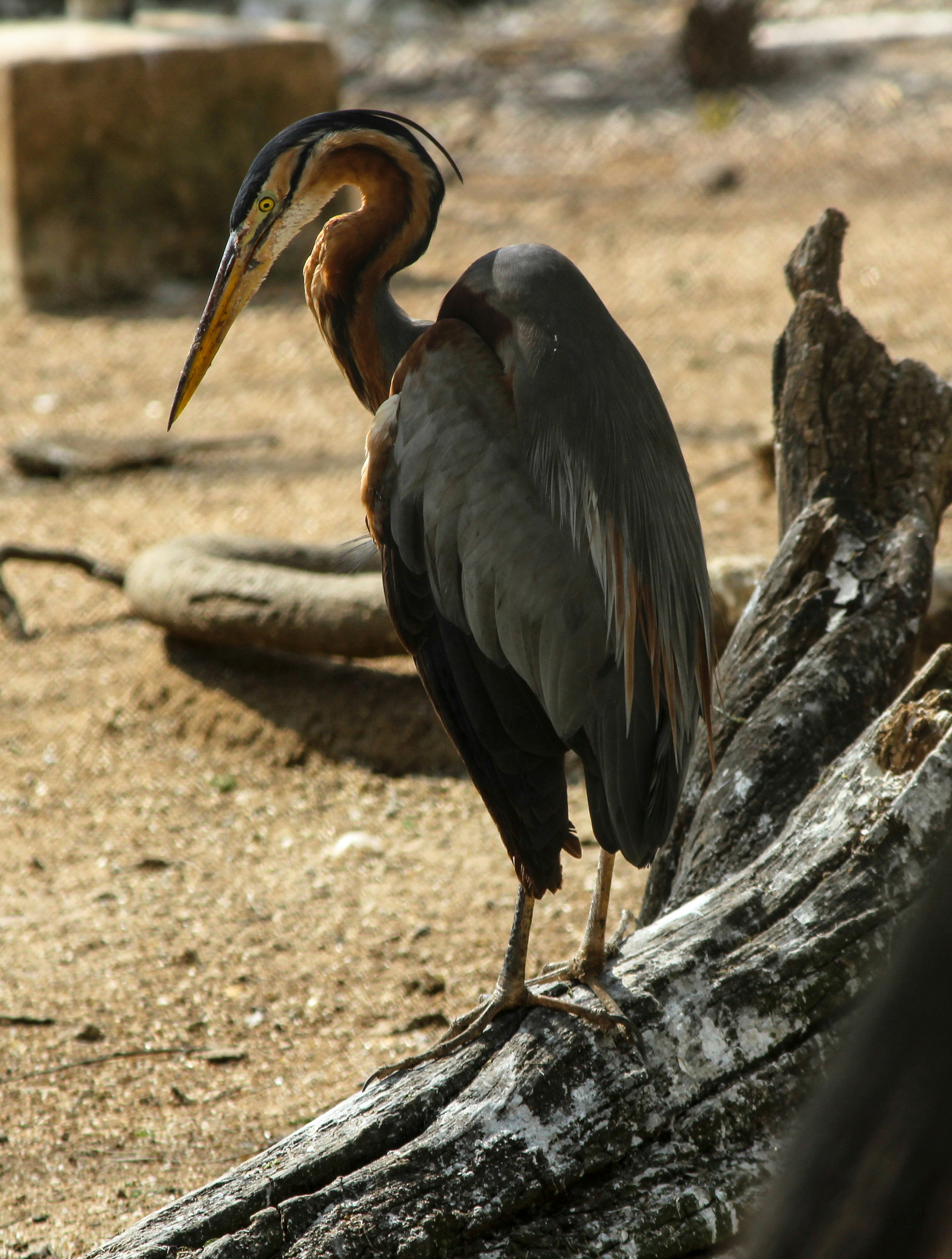 Photo by aditya_sethia_97