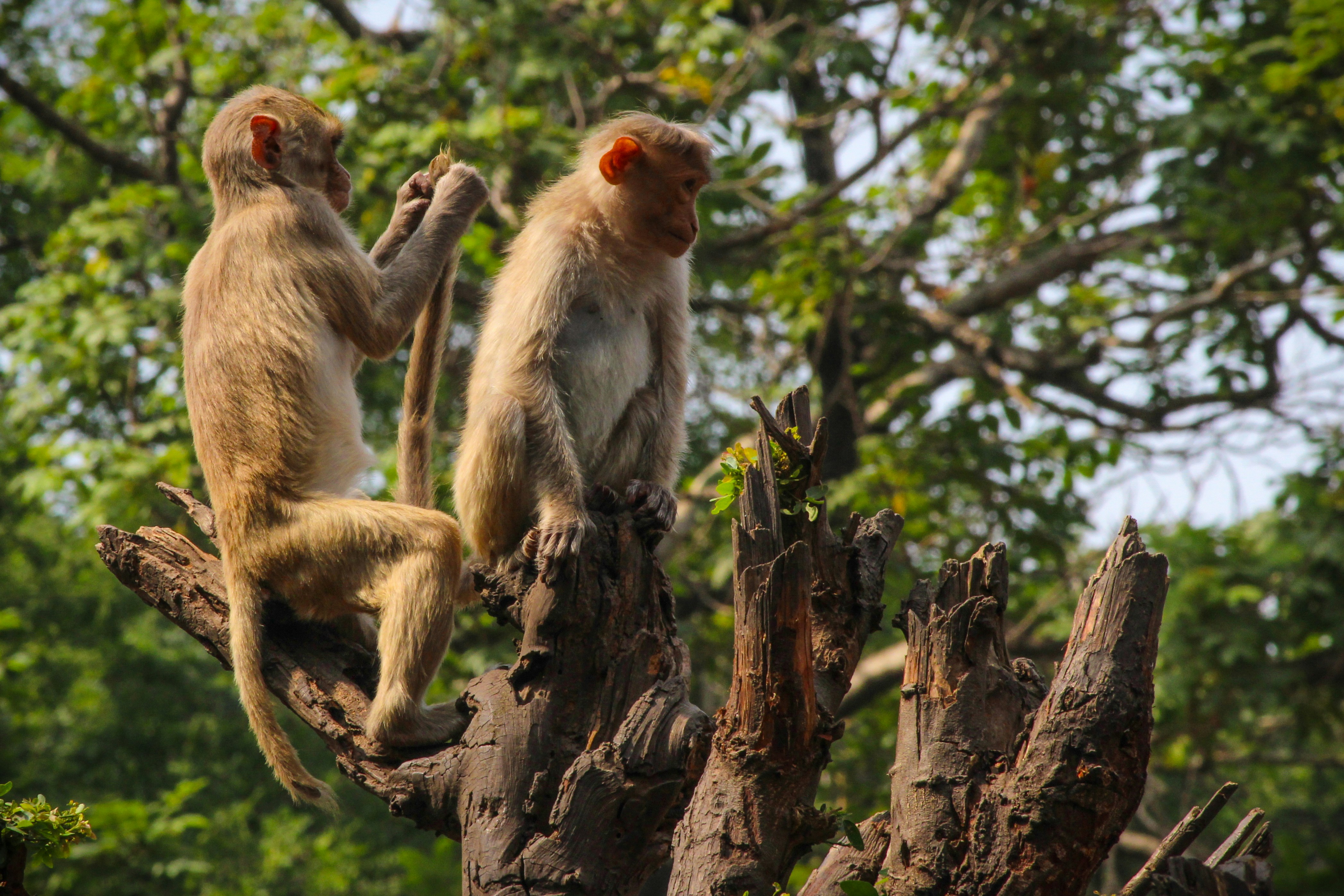 Photo by aditya_sethia_97