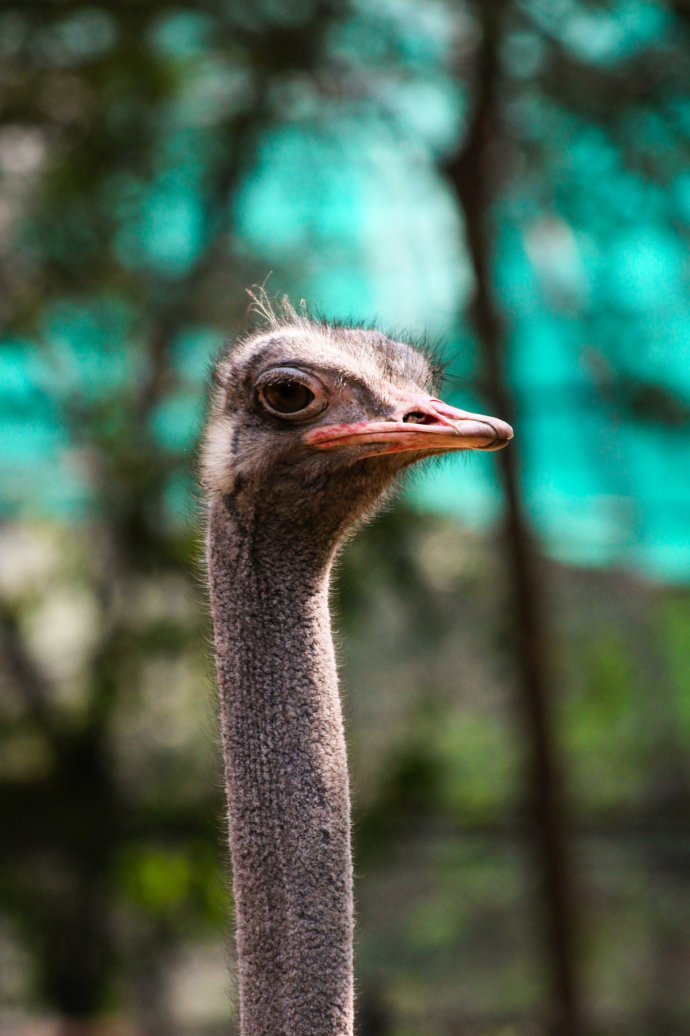 Photo by aditya_sethia_97