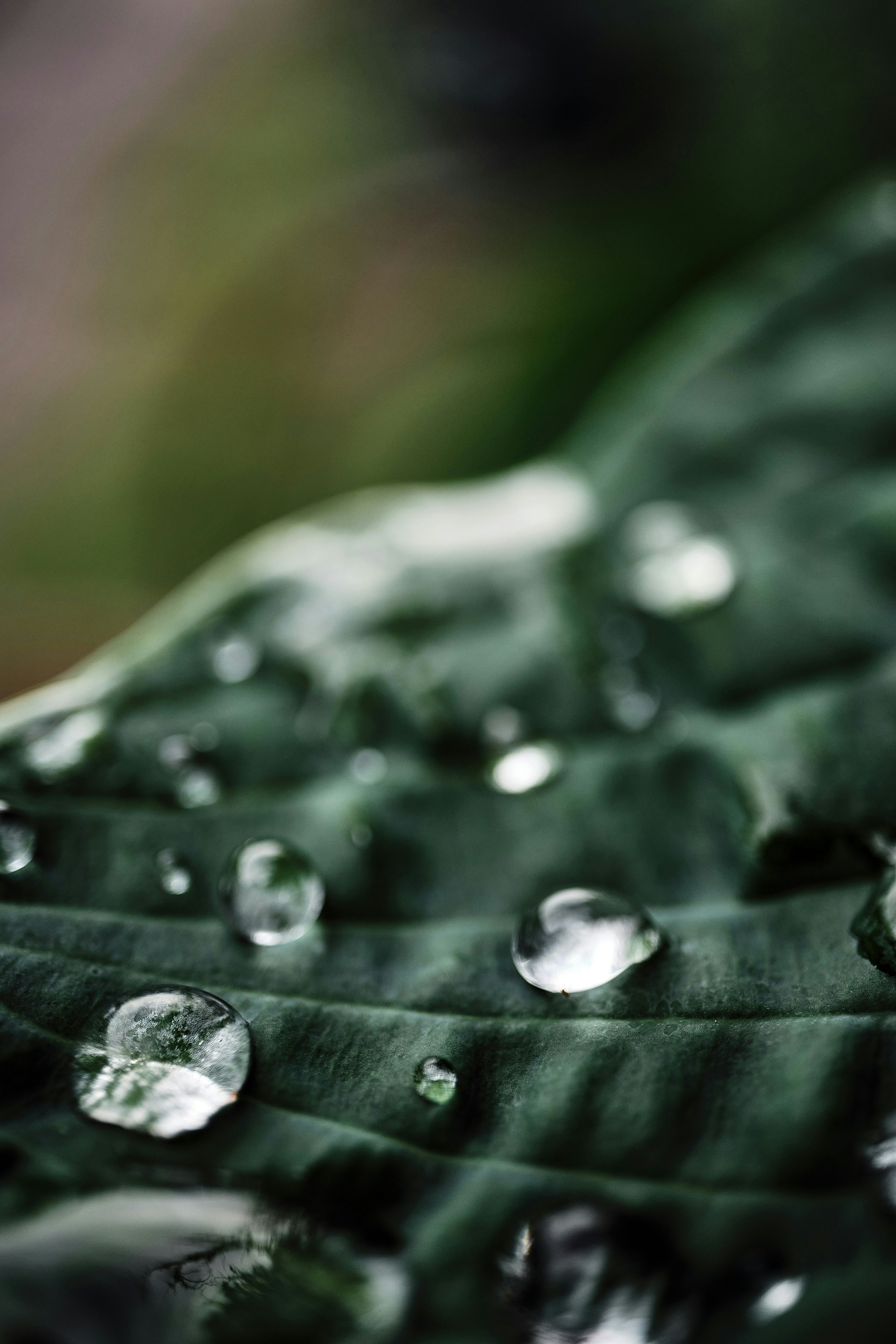 Photo by marcus_ganahl