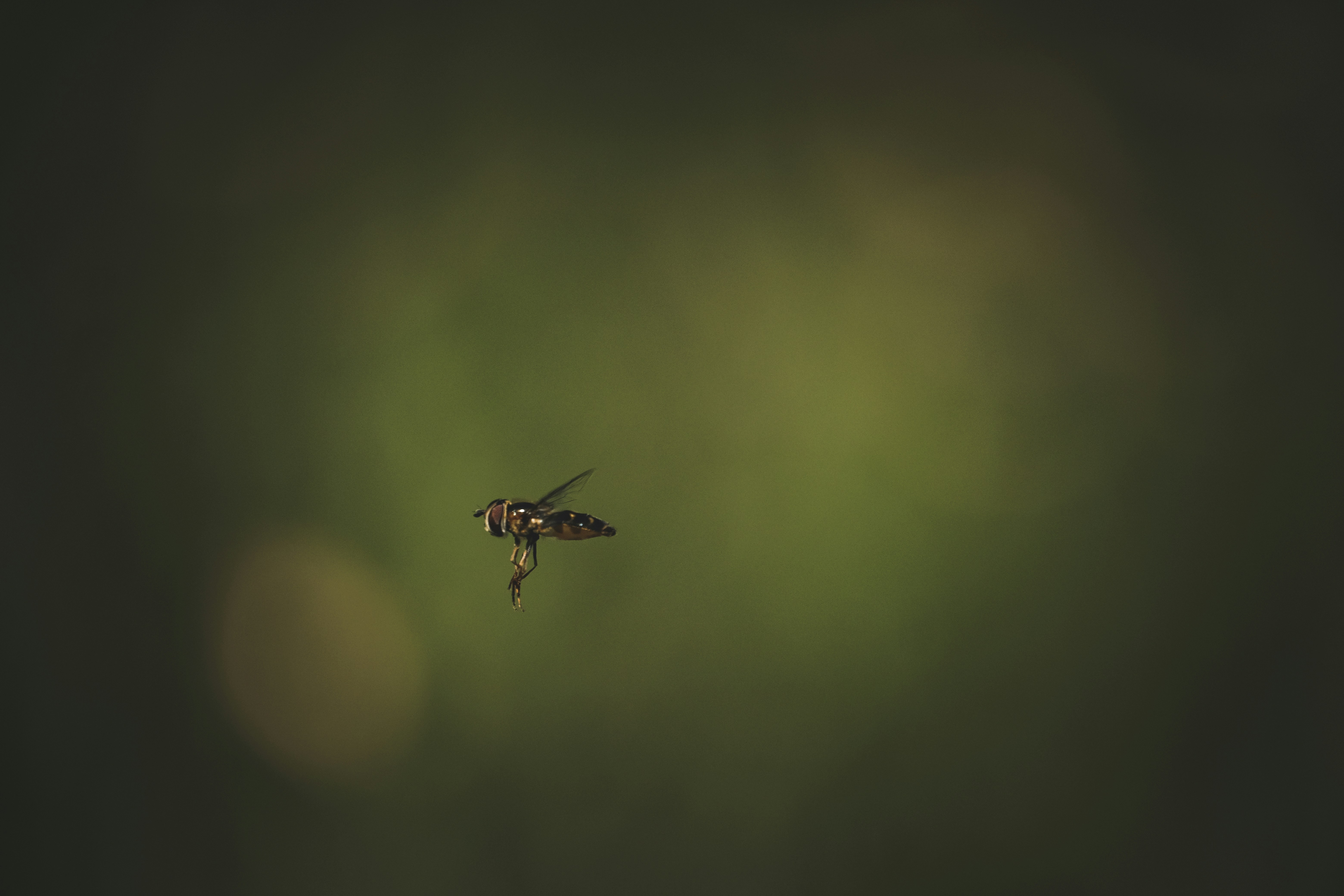 Photo by francesco_ungaro