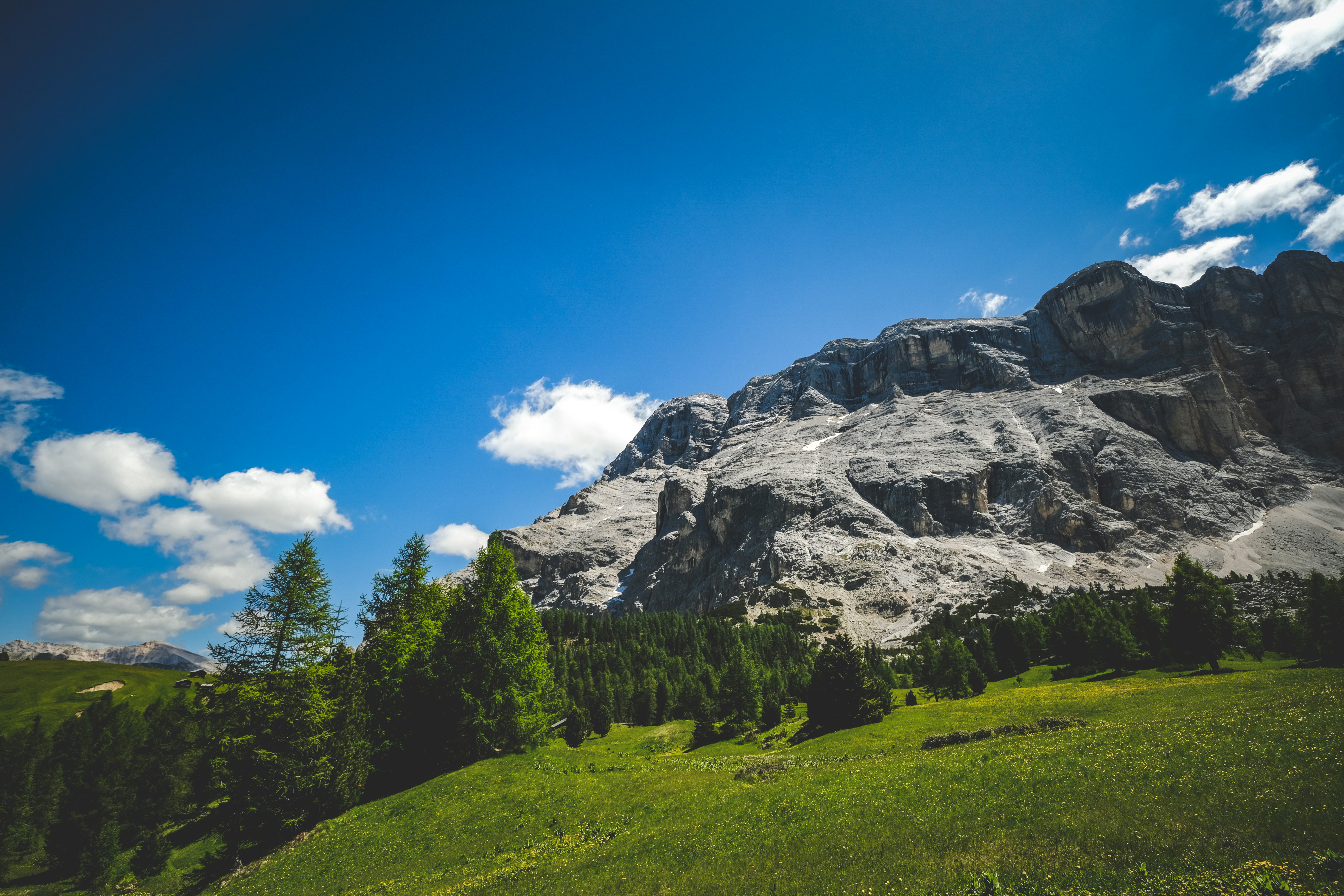 Photo by francesco_ungaro