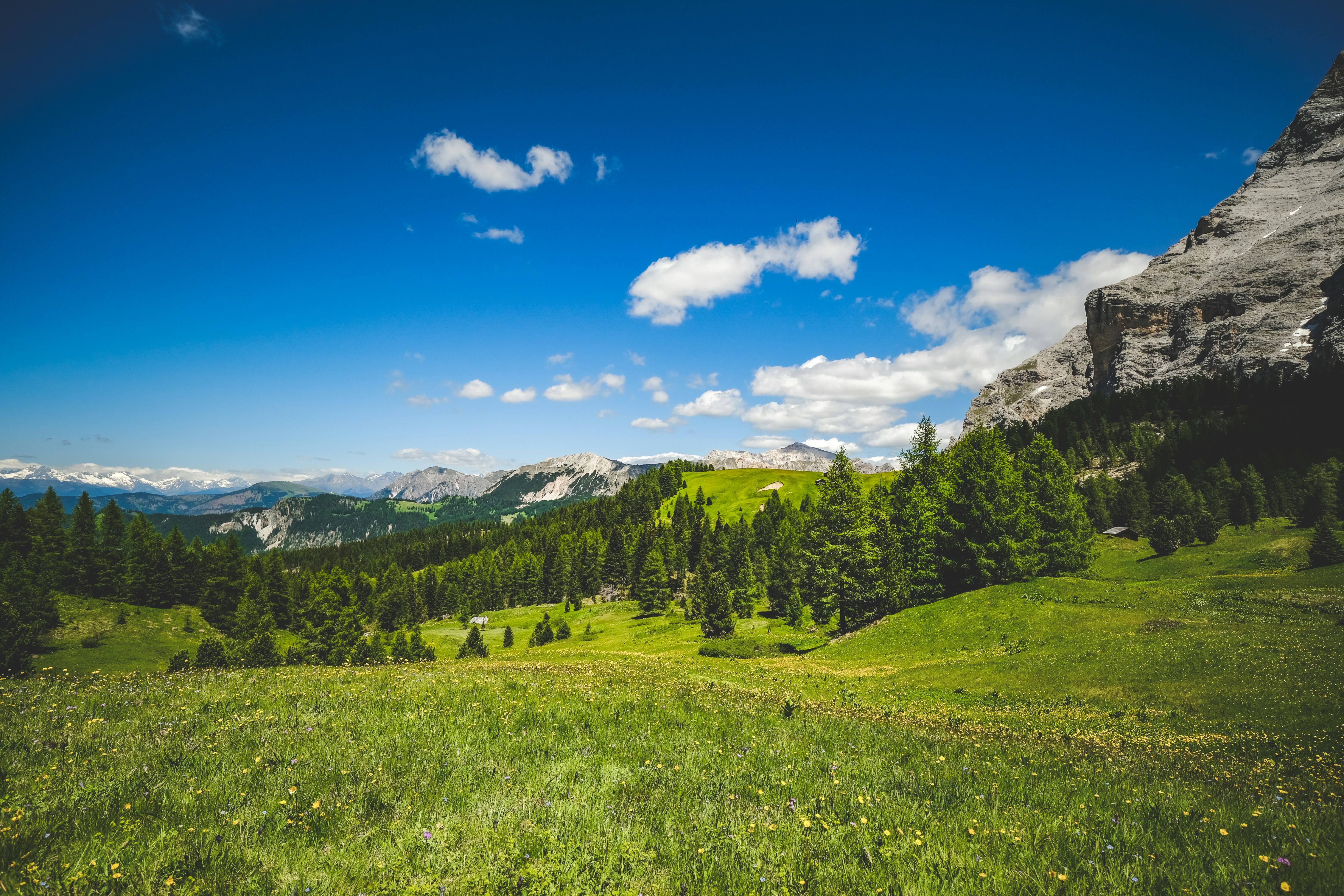 Photo by francesco_ungaro