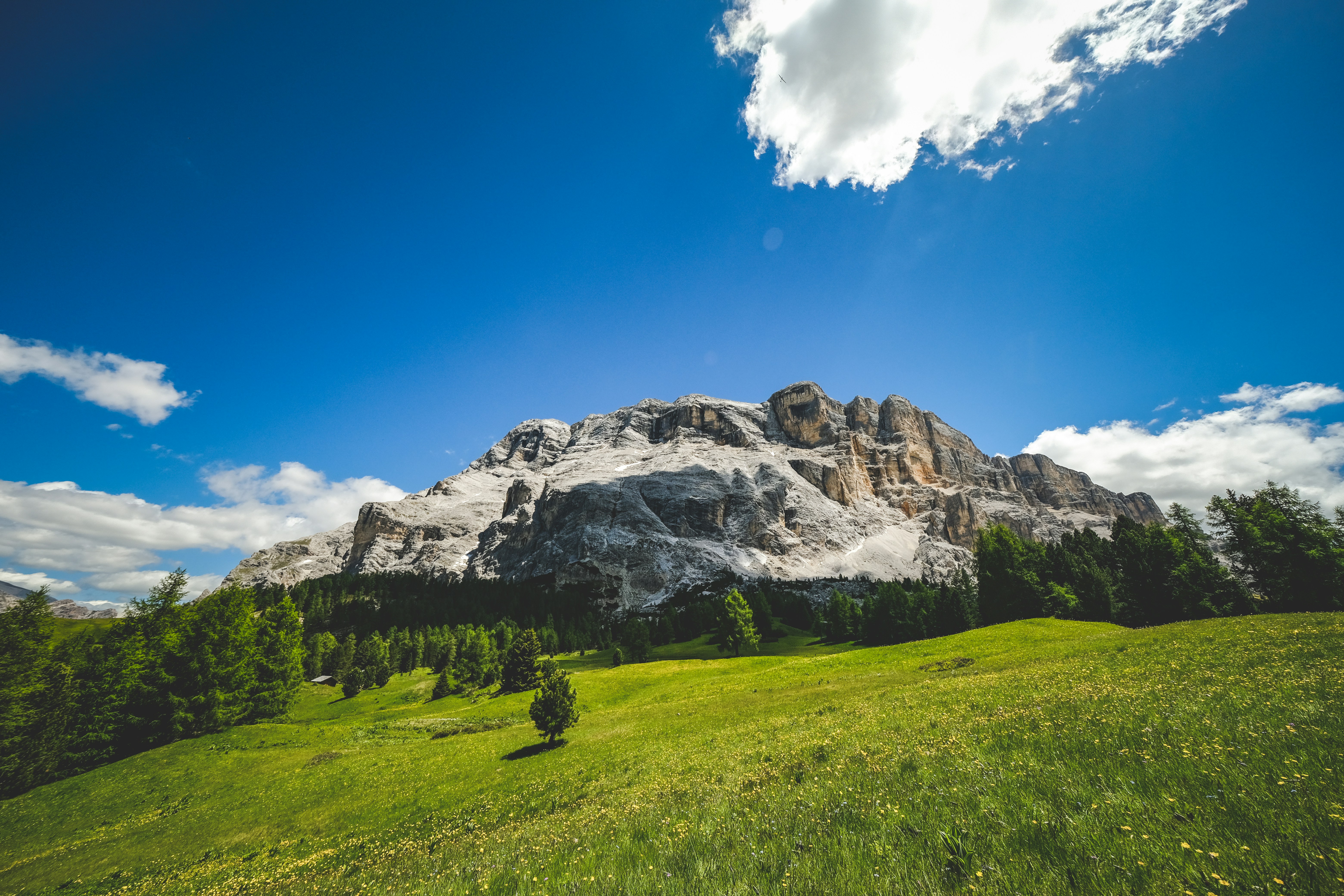 Photo by francesco_ungaro