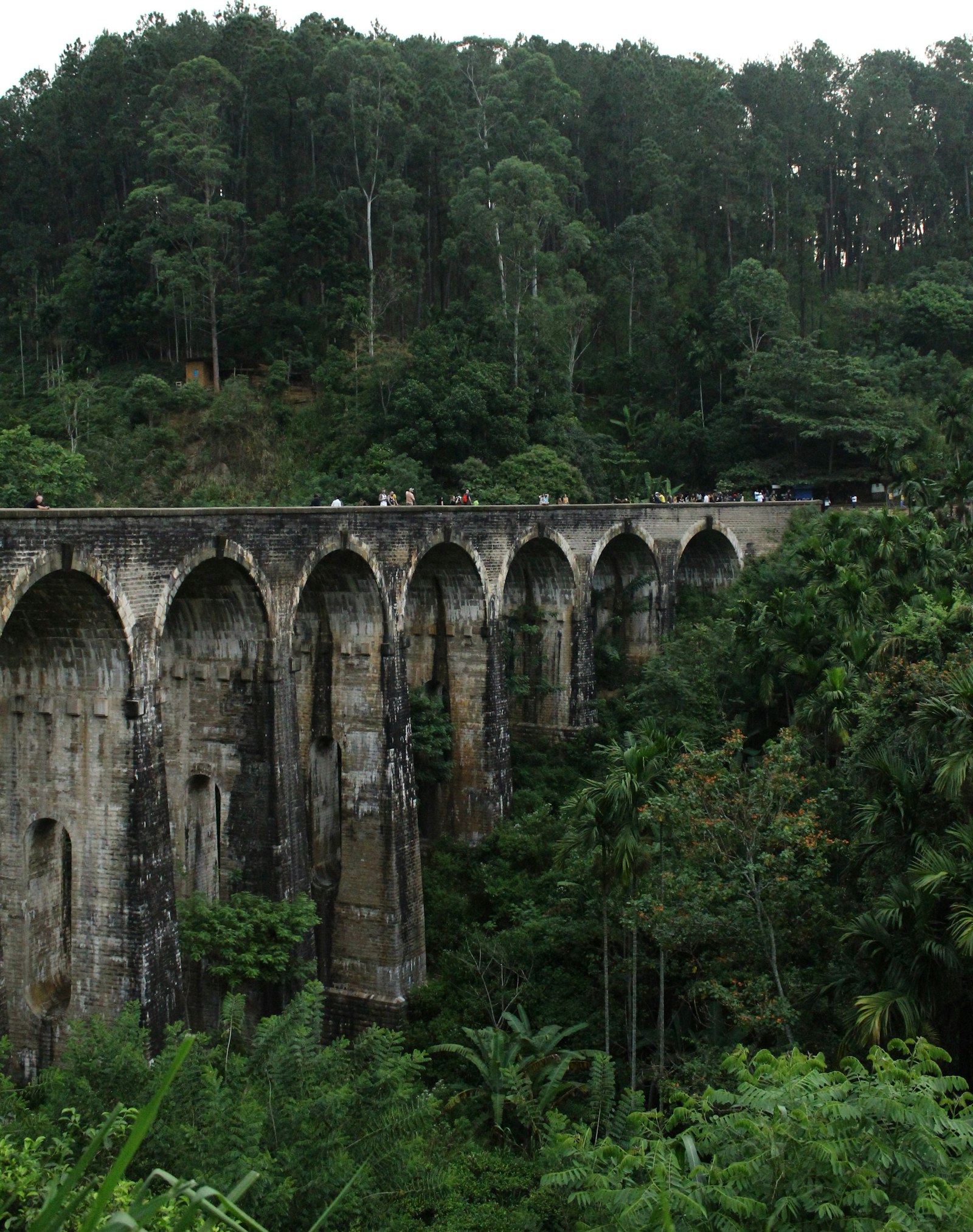 The stone Nine Arch Bridge near Ella rising out of dense green jungle