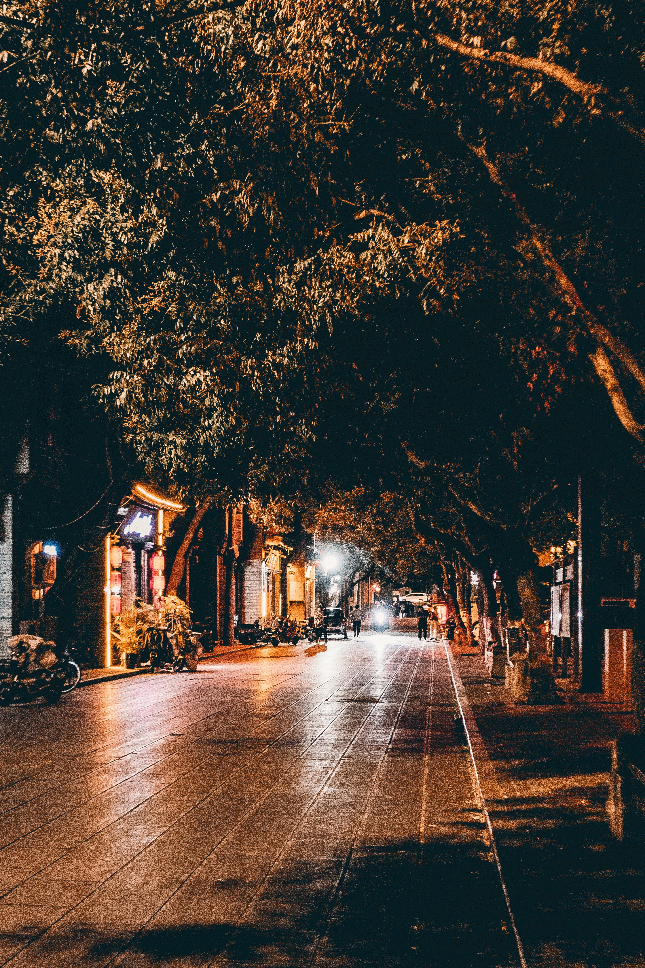 Photo by xiazheng1995