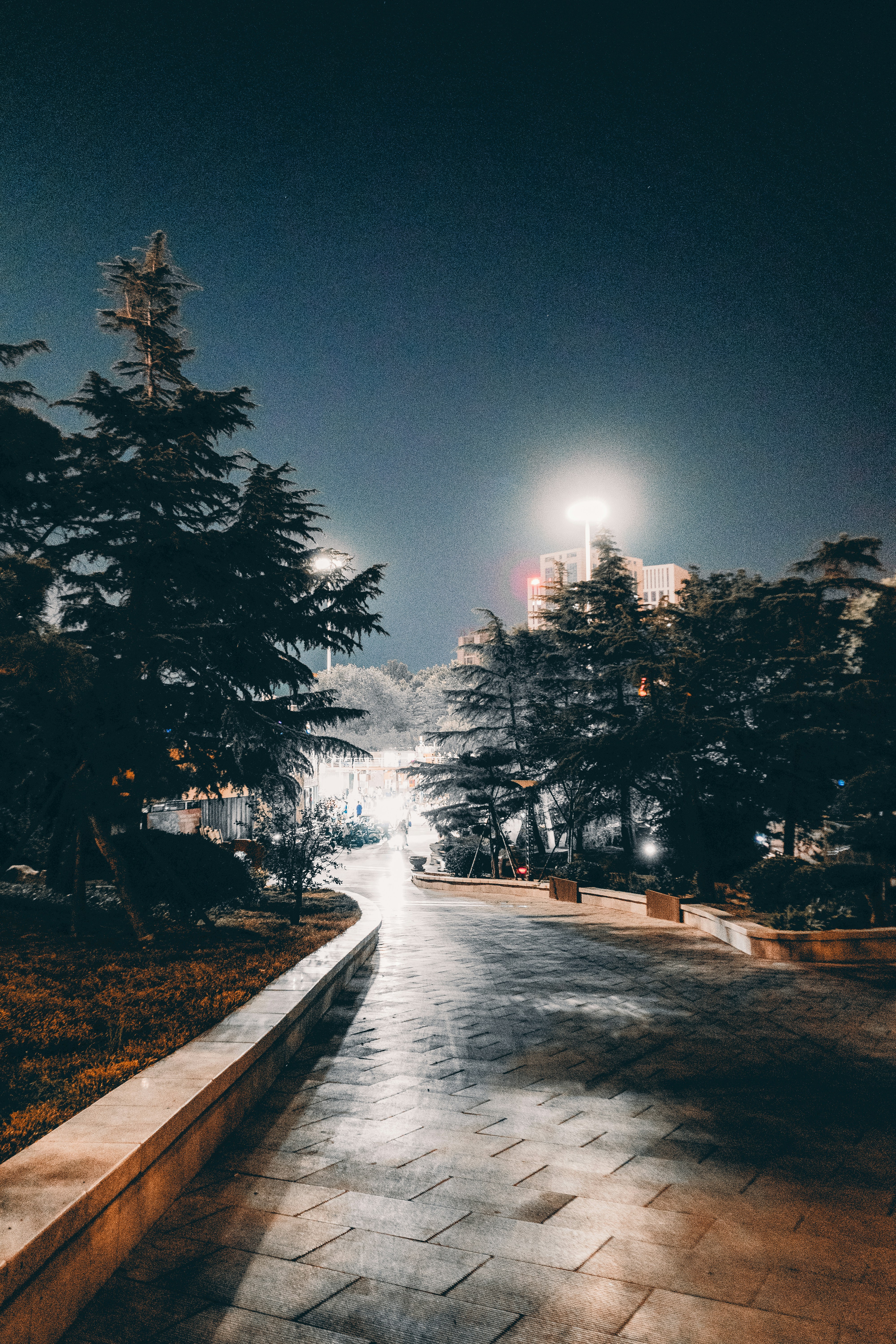 Photo by xiazheng1995